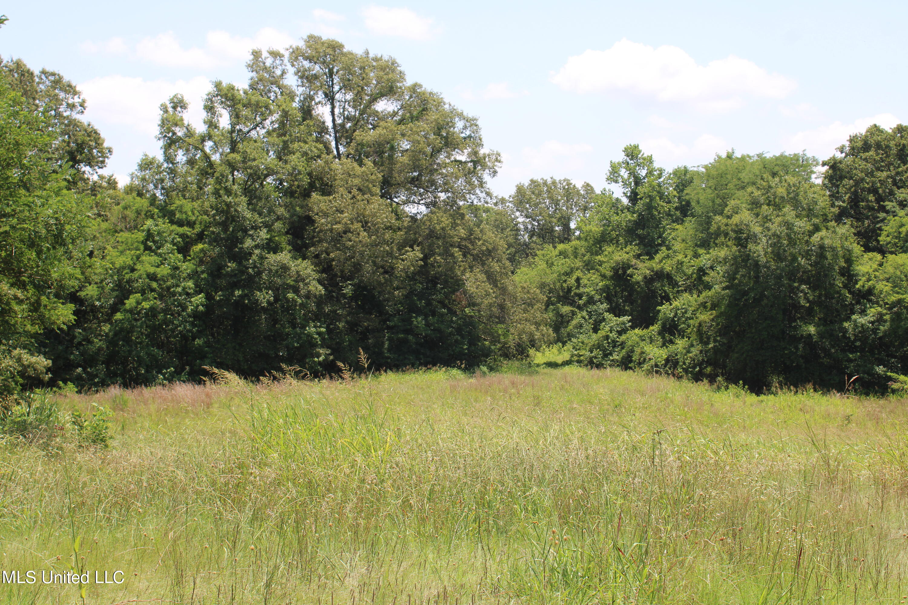 760 Old Hwy Road Crenshaw, MS 38621 - Photo 38 of 57 IMG_1531