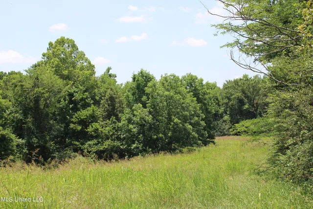 $699,000 | 760 Old Hwy Road, Crenshaw, MS 38621