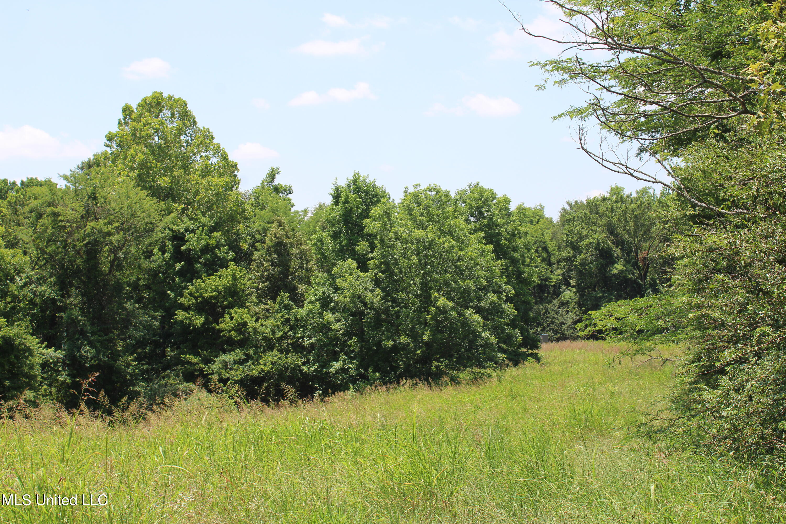 760 Old Hwy Road Crenshaw, MS 38621 - Photo 39 of 57 IMG_1532