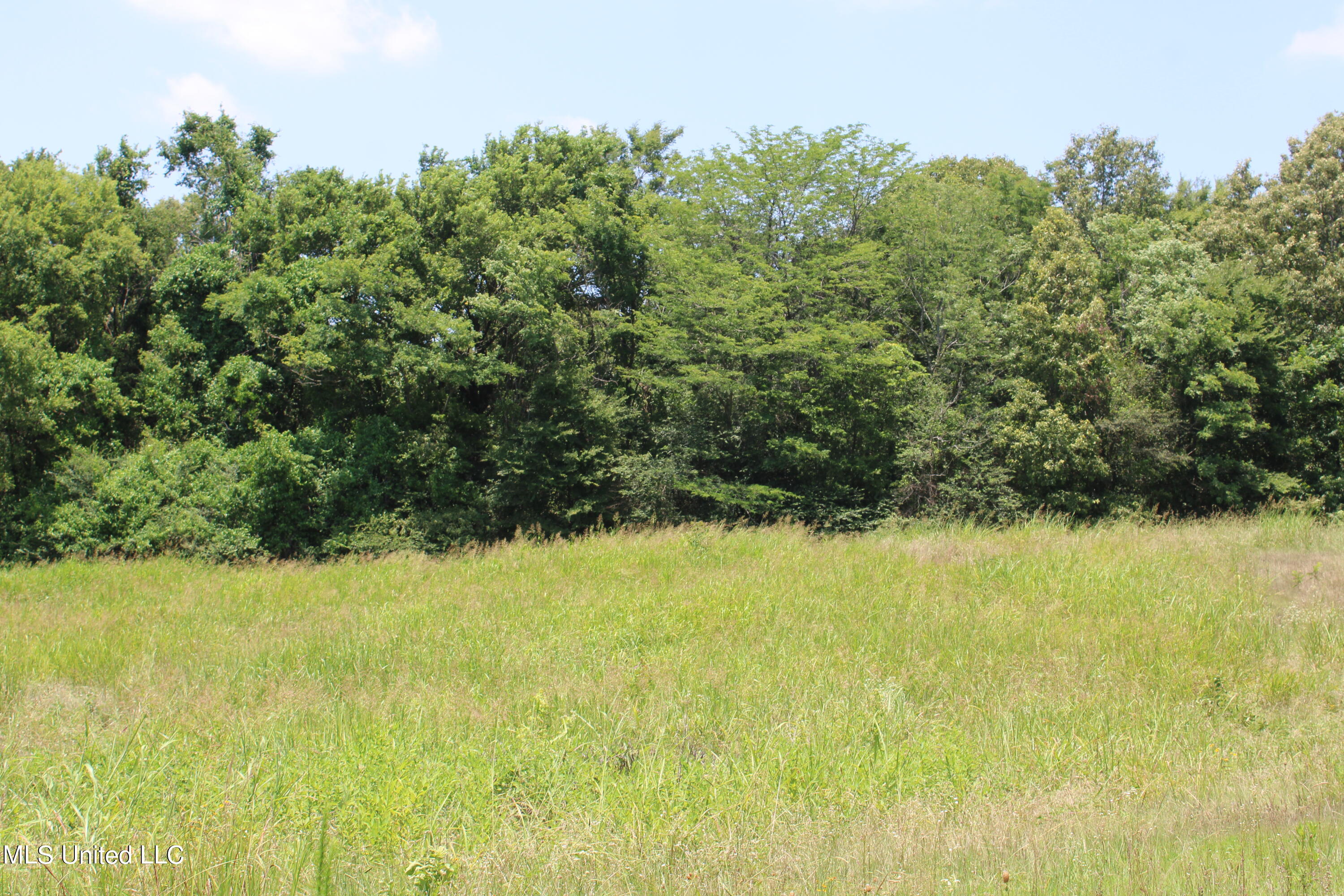 760 Old Hwy Road Crenshaw, MS 38621 - Photo 40 of 57 IMG_1534