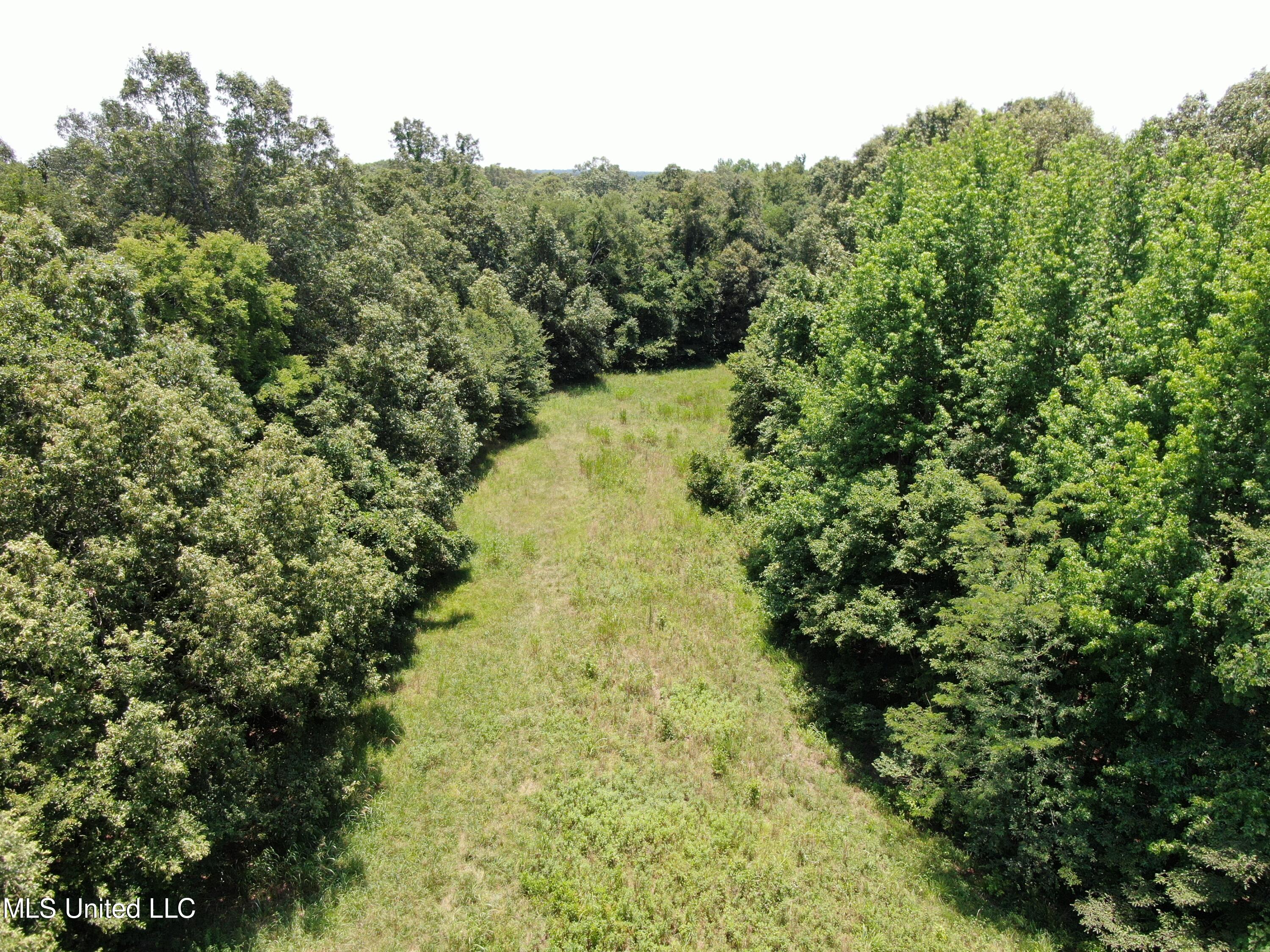 760 Old Hwy Road Crenshaw, MS 38621 - Photo 4 of 57 DJI_0877