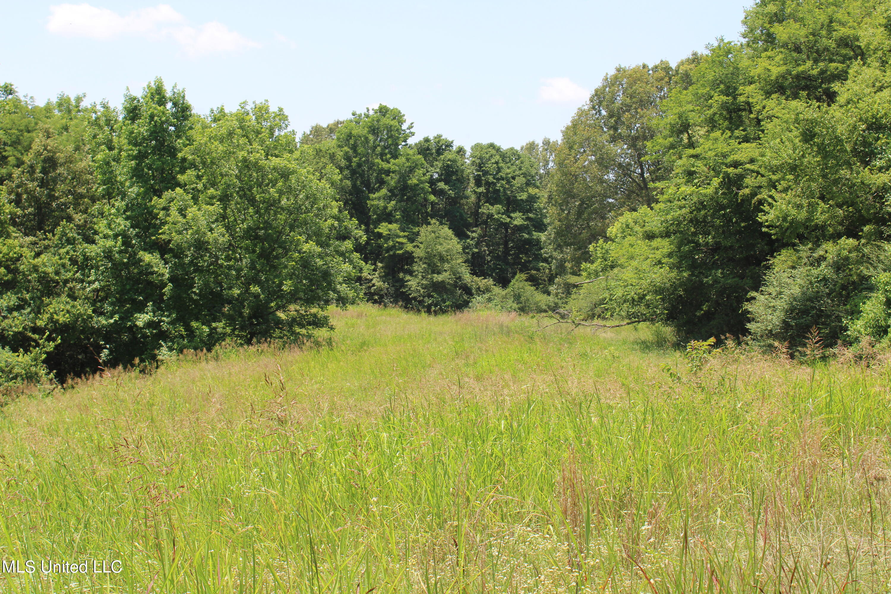 760 Old Hwy Road Crenshaw, MS 38621 - Photo 41 of 57 IMG_1535