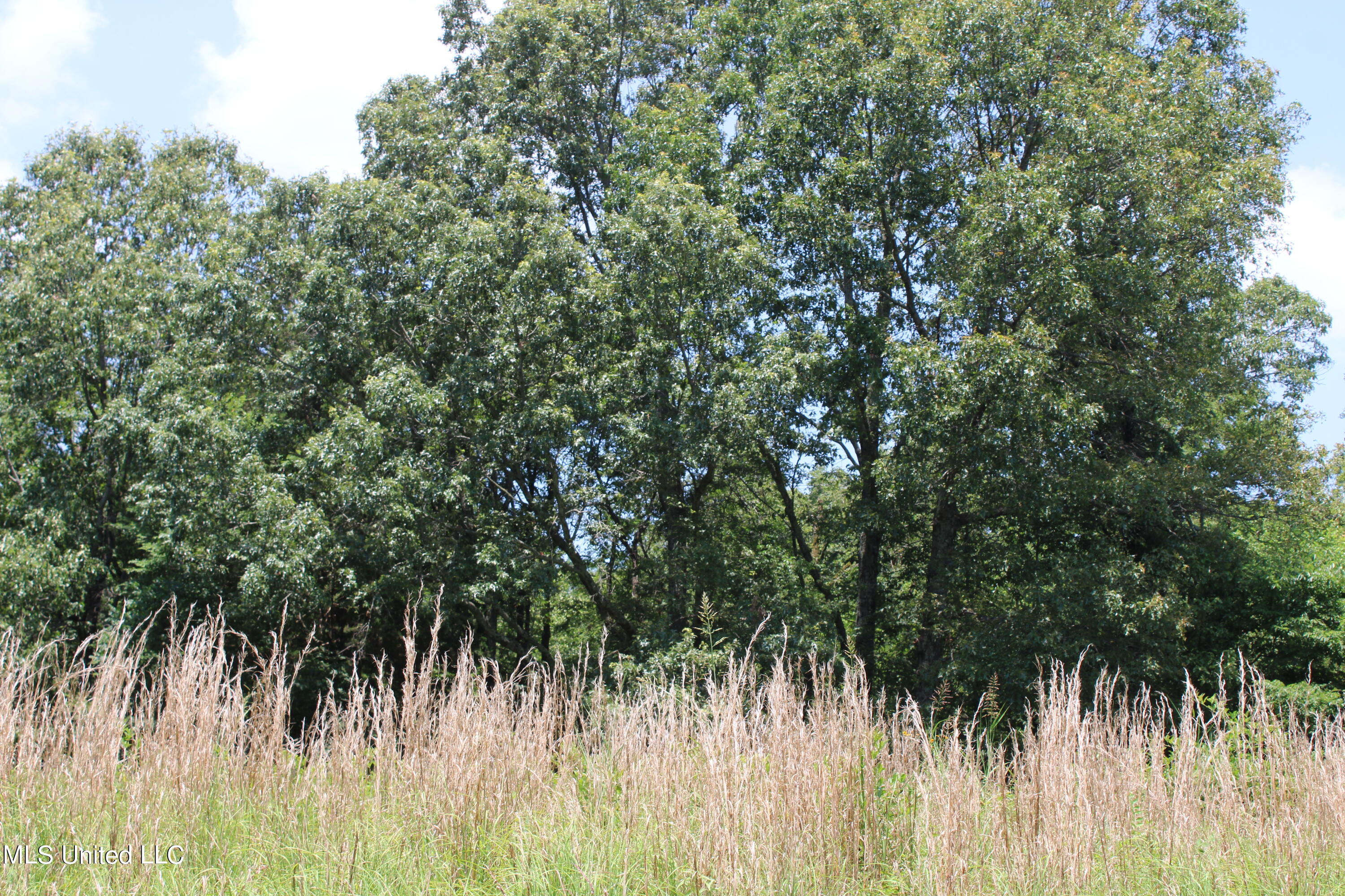 760 Old Hwy Road Crenshaw, MS 38621 - Photo 42 of 57 IMG_1537