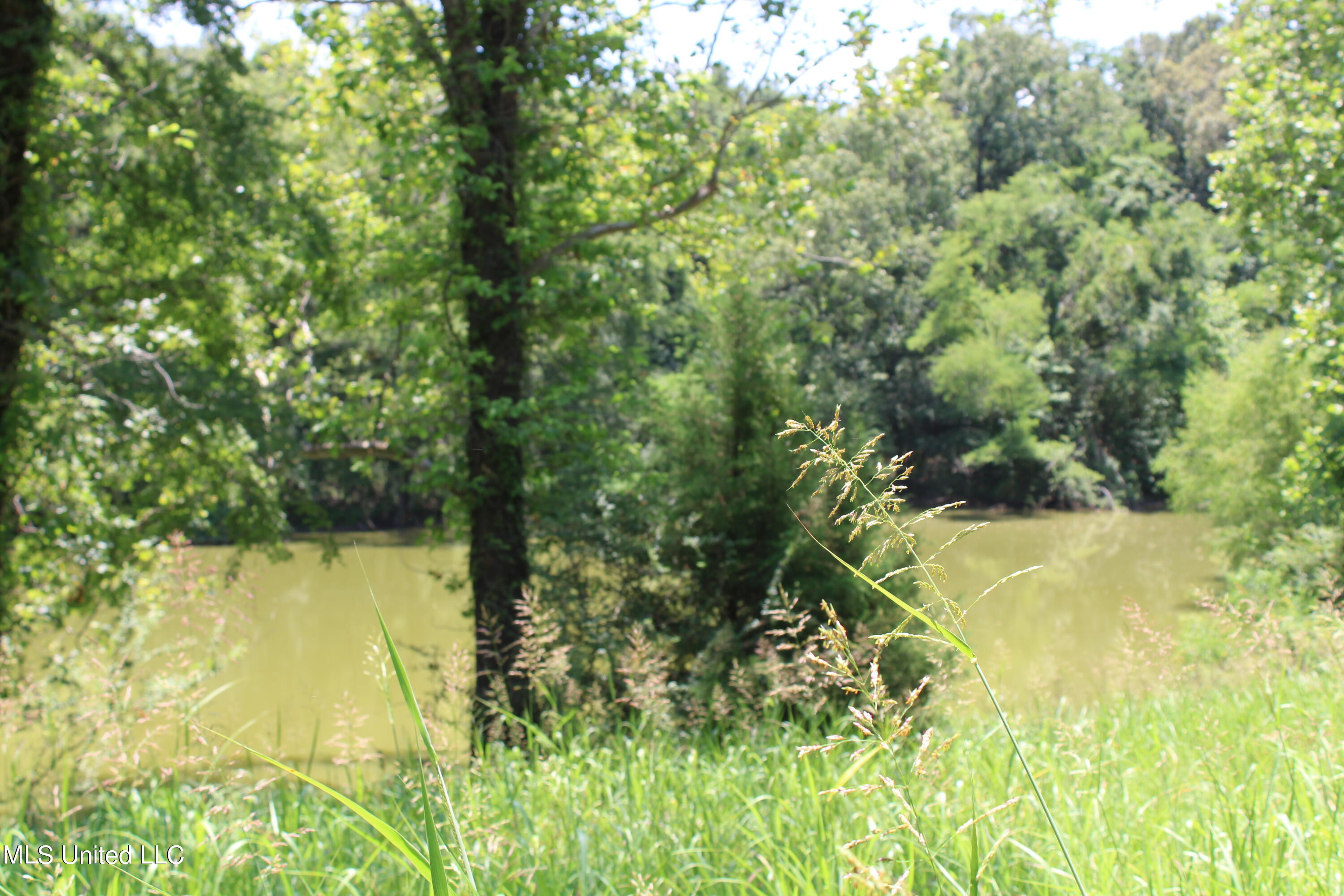 760 Old Hwy Road Crenshaw, MS 38621 - Photo 43 of 57 IMG_1538