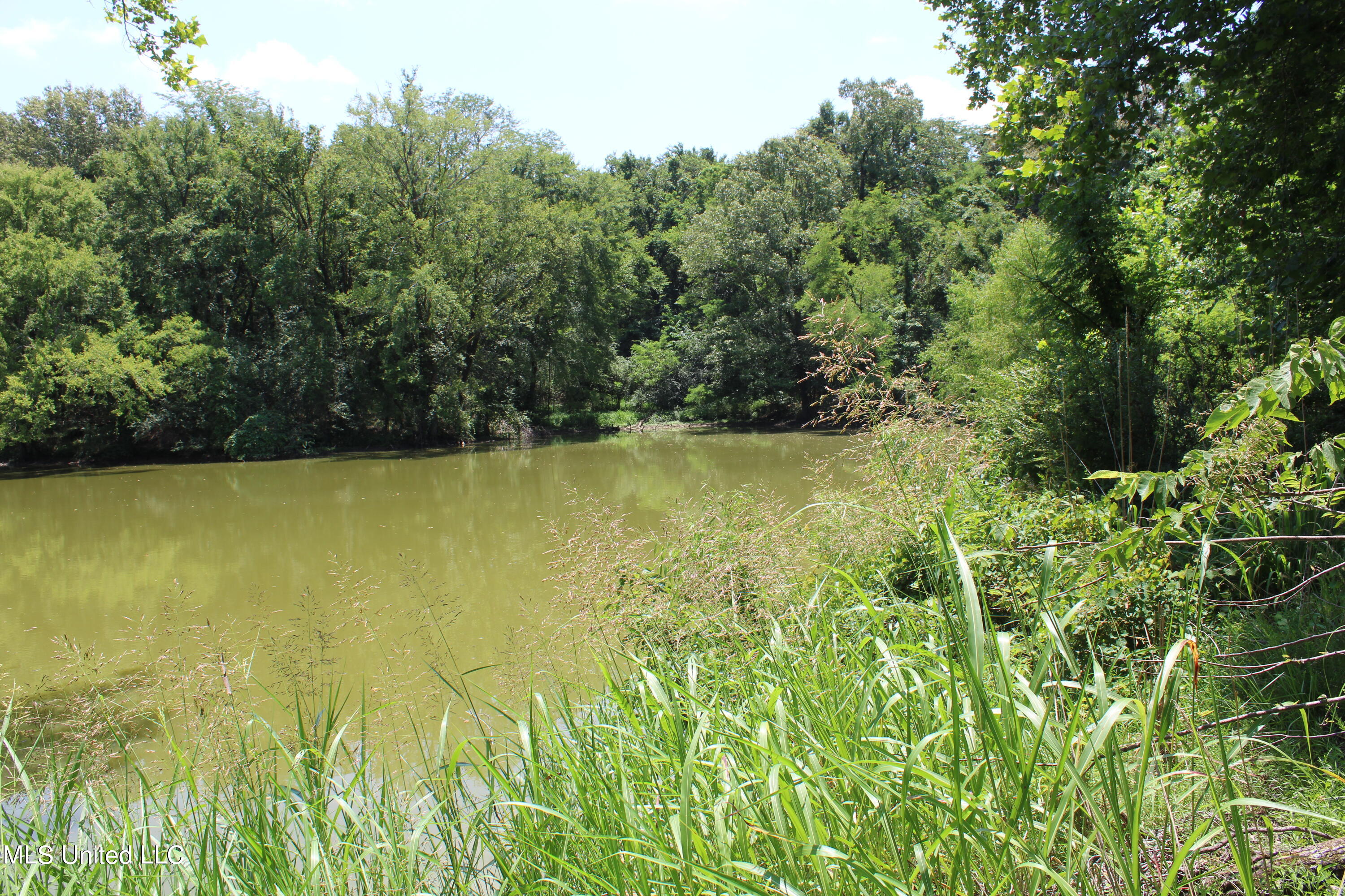 760 Old Hwy Road Crenshaw, MS 38621 - Photo 44 of 57 IMG_1539