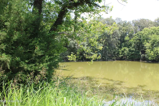 $699,000 | 760 Old Hwy Road, Crenshaw, MS 38621