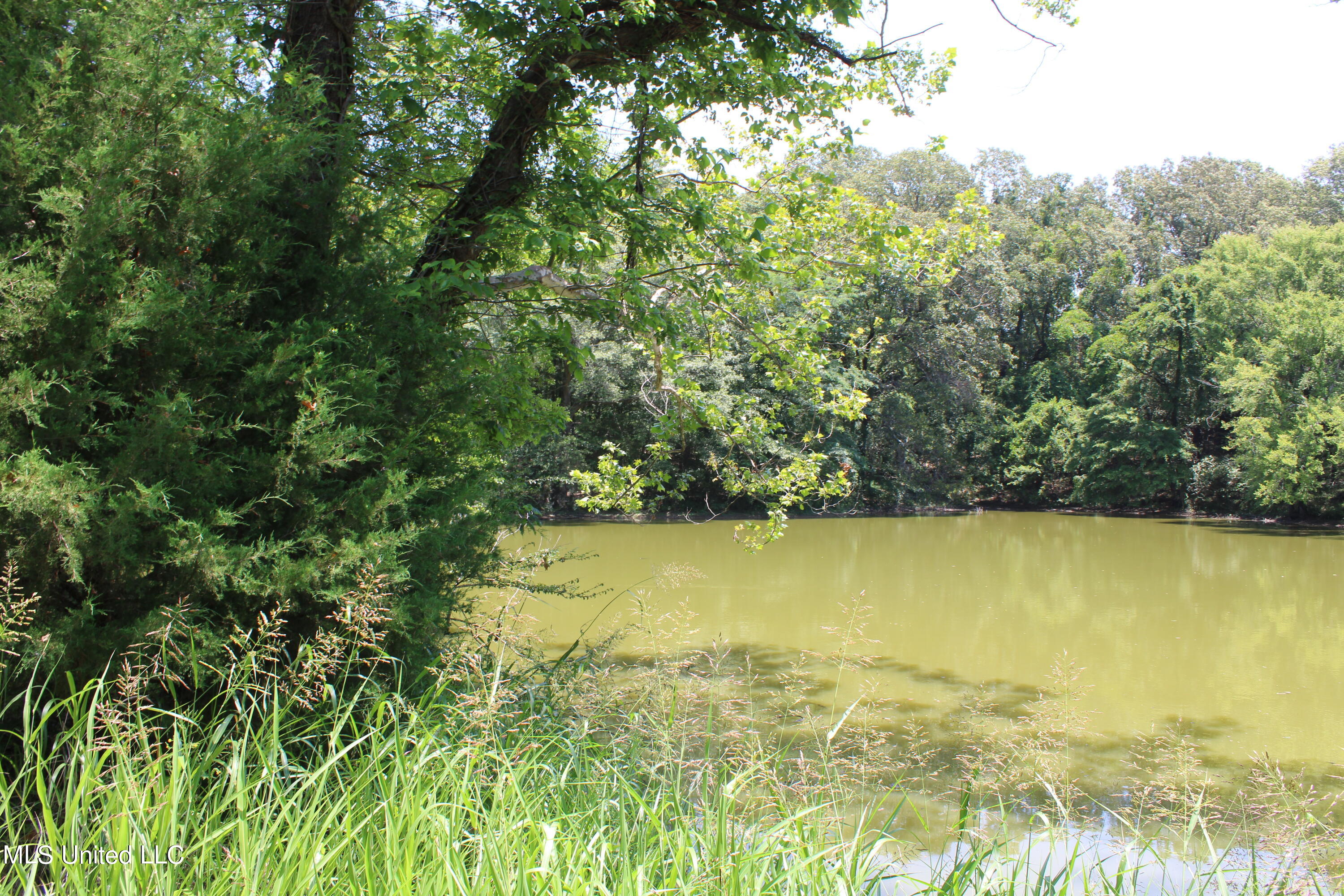 760 Old Hwy Road Crenshaw, MS 38621 - Photo 45 of 57 IMG_1540