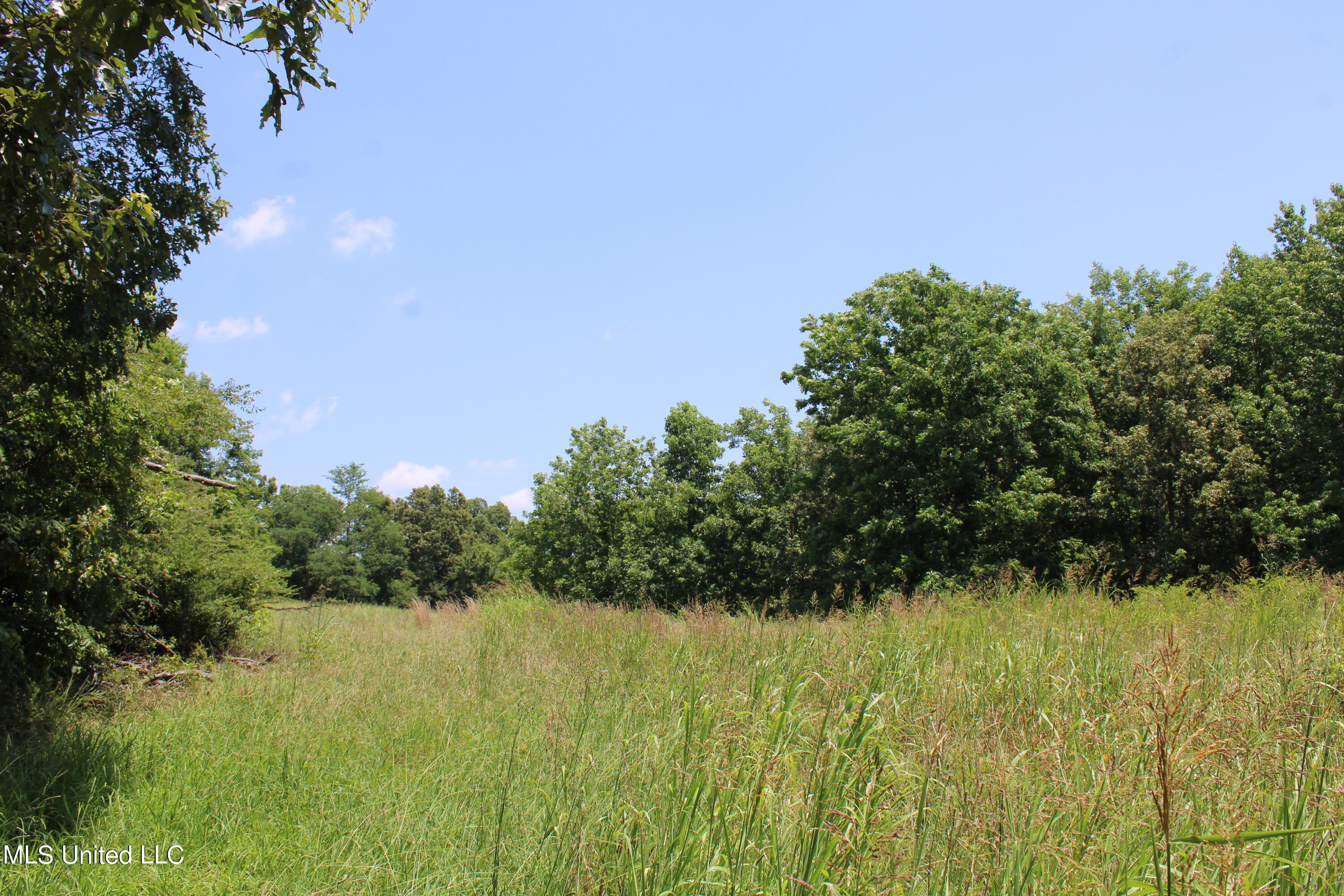 760 Old Hwy Road Crenshaw, MS 38621 - Photo 46 of 57 IMG_1544