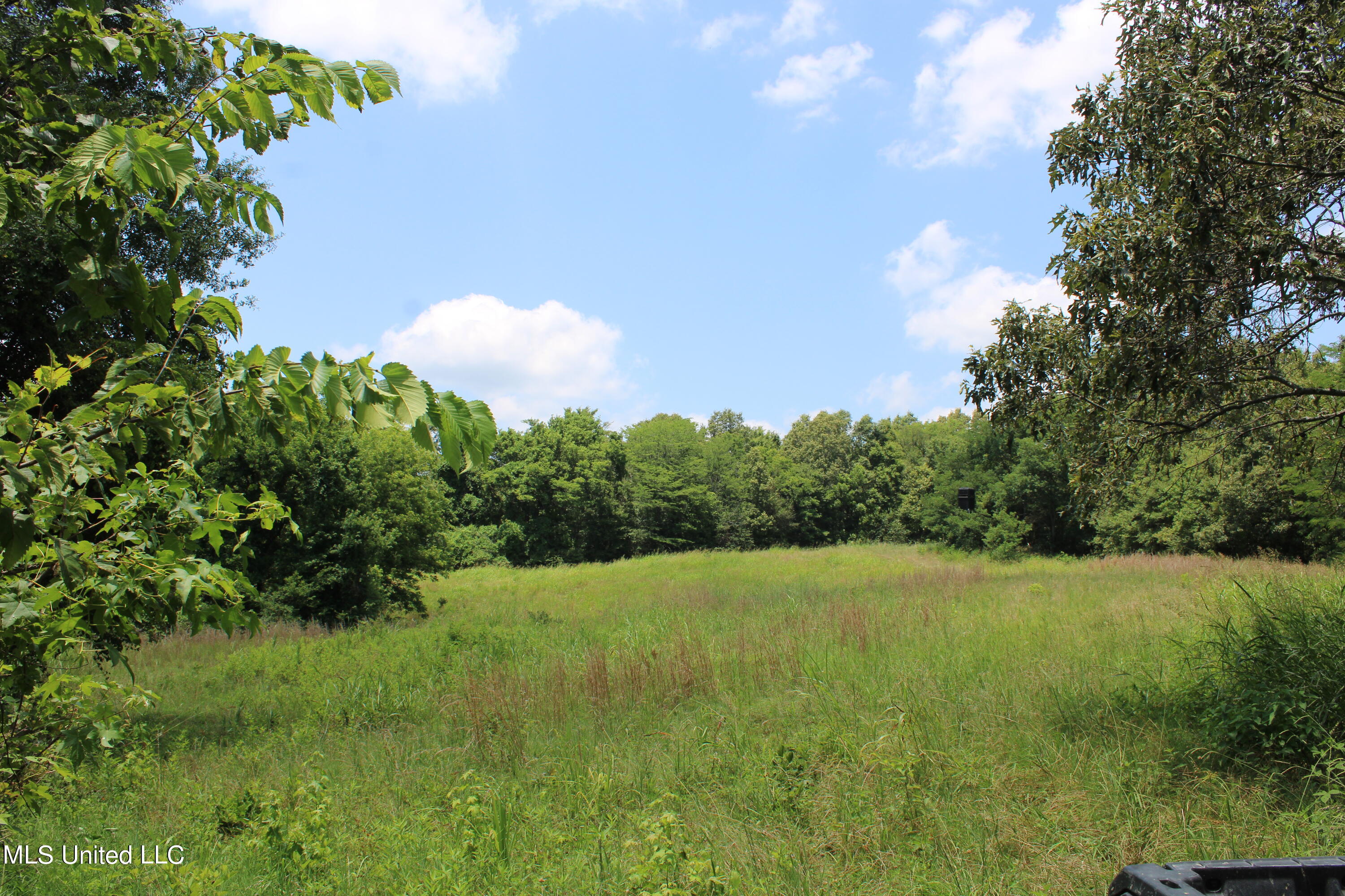 760 Old Hwy Road Crenshaw, MS 38621 - Photo 47 of 57 IMG_1550