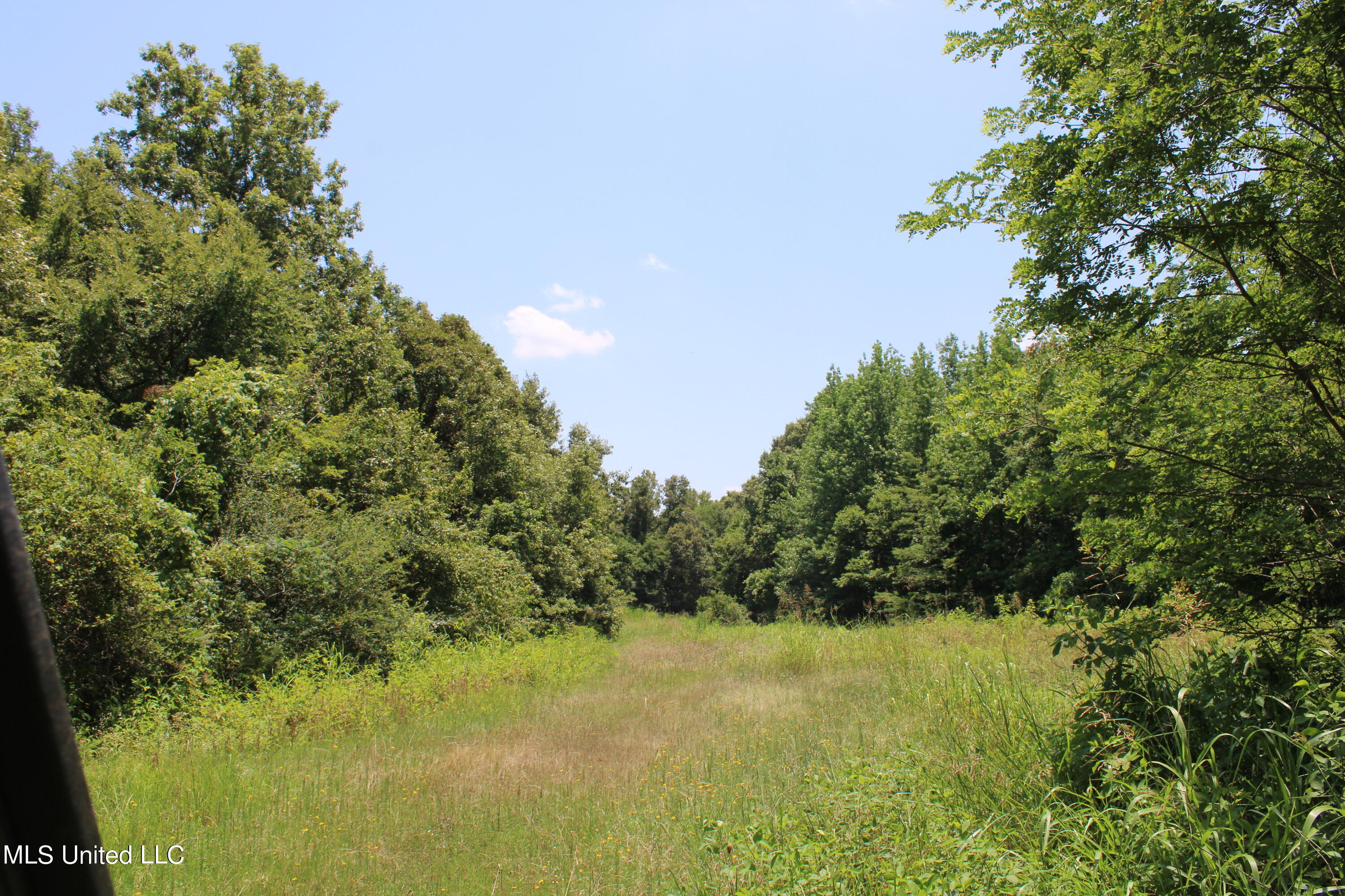 760 Old Hwy Road Crenshaw, MS 38621 - Photo 48 of 57 IMG_1552