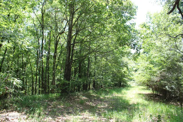 $699,000 | 760 Old Hwy Road, Crenshaw, MS 38621