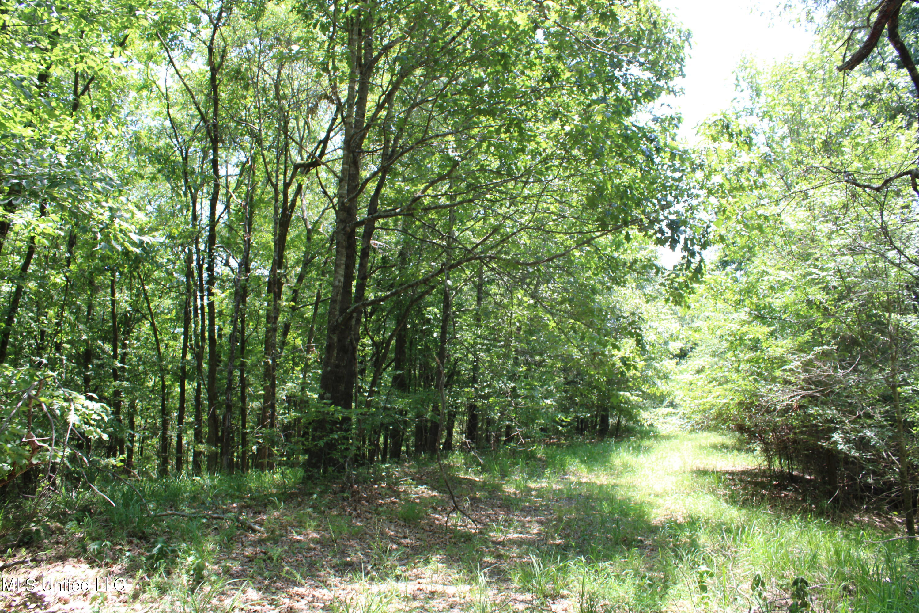 760 Old Hwy Road Crenshaw, MS 38621 - Photo 49 of 57 IMG_1556