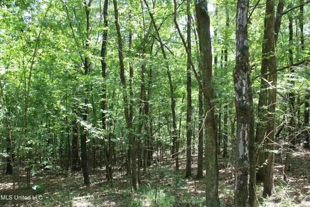 $699,000 | 760 Old Hwy Road, Crenshaw, MS 38621