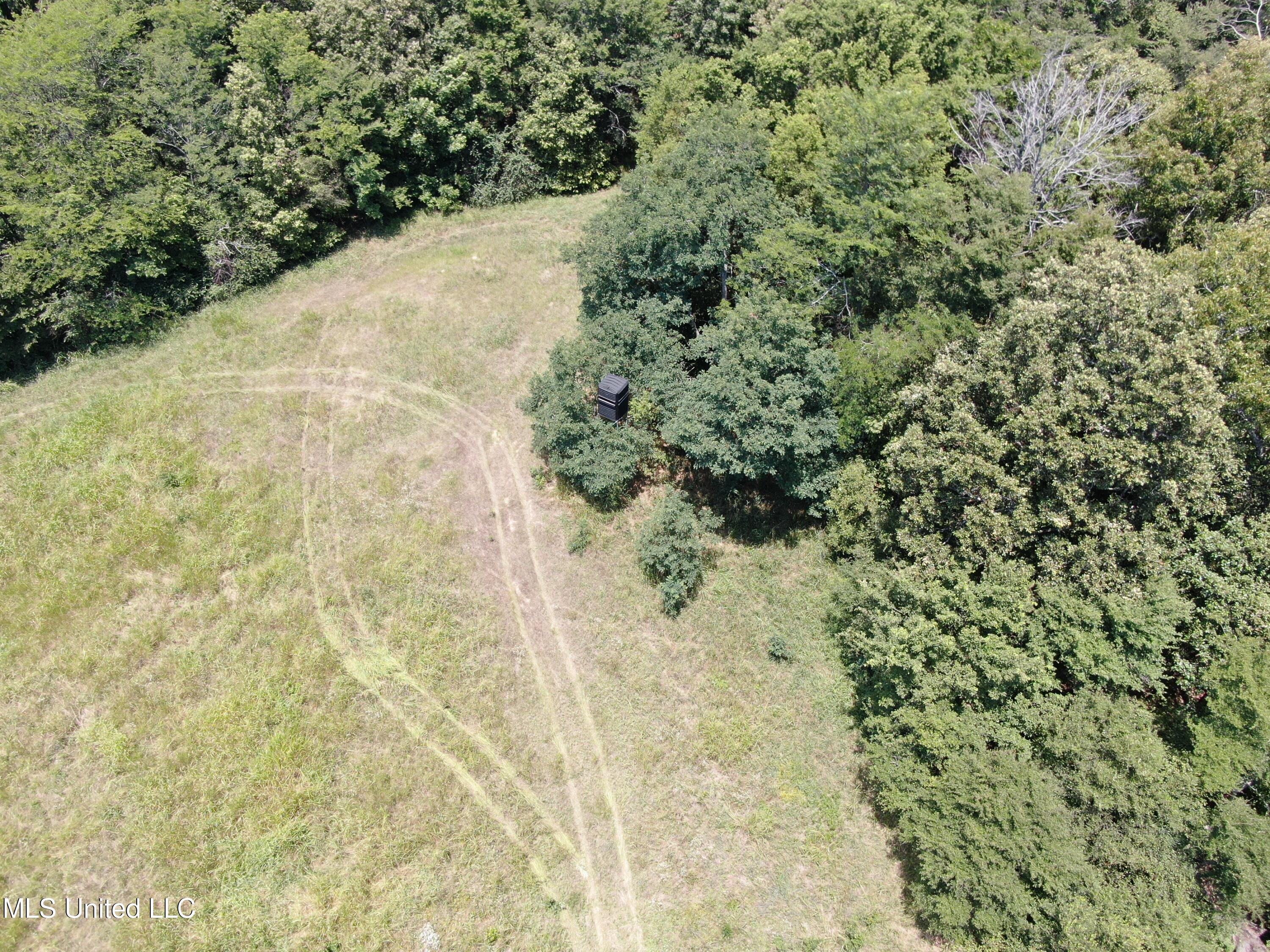 760 Old Hwy Road Crenshaw, MS 38621 - Photo 5 of 57 DJI_0875