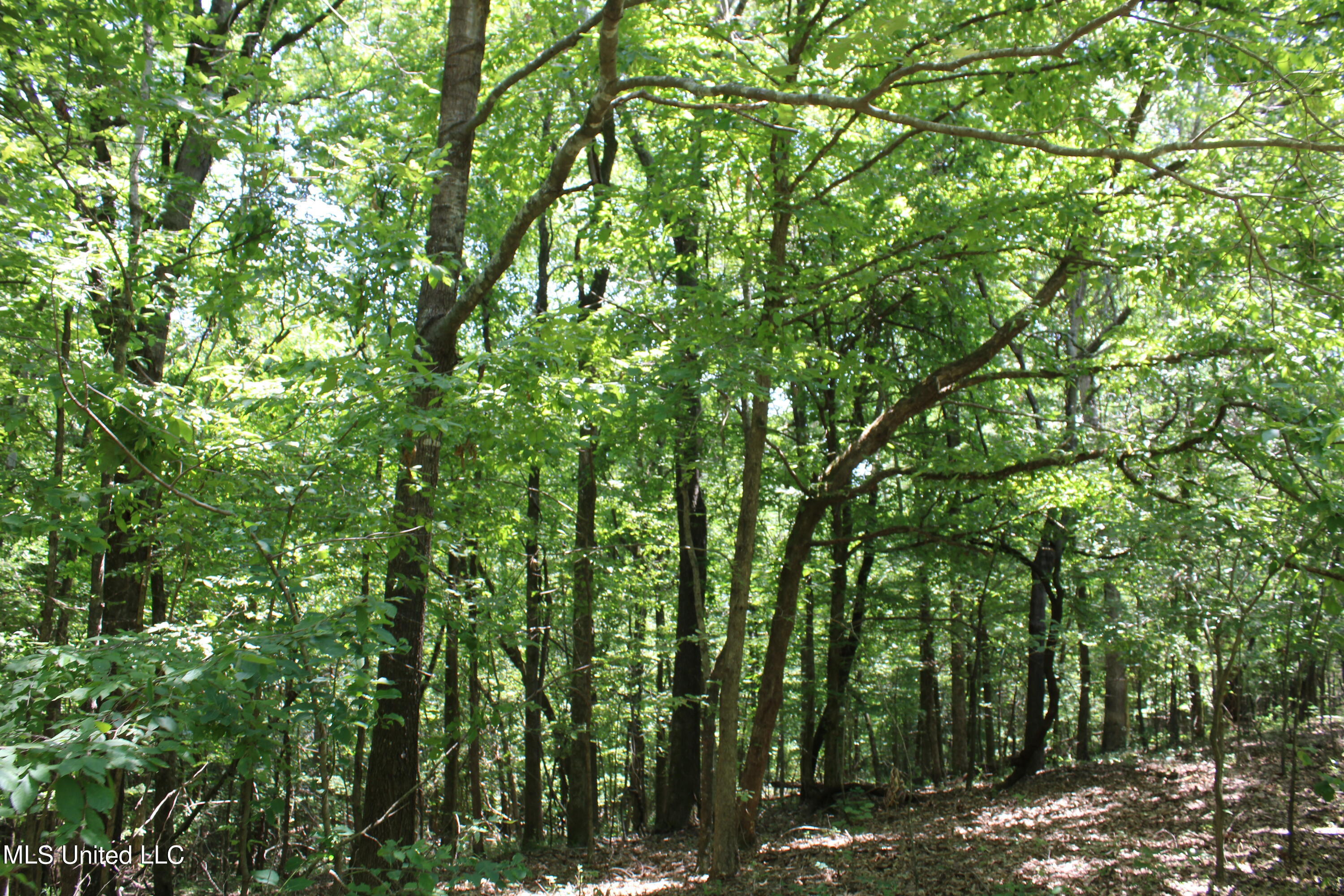 760 Old Hwy Road Crenshaw, MS 38621 - Photo 51 of 57 IMG_1559