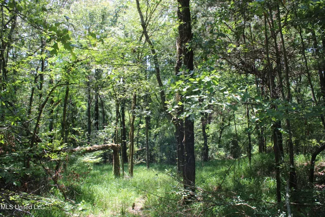 $699,000 | 760 Old Hwy Road, Crenshaw, MS 38621