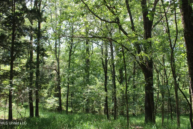 $699,000 | 760 Old Hwy Road, Crenshaw, MS 38621