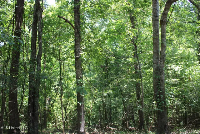 $699,000 | 760 Old Hwy Road, Crenshaw, MS 38621