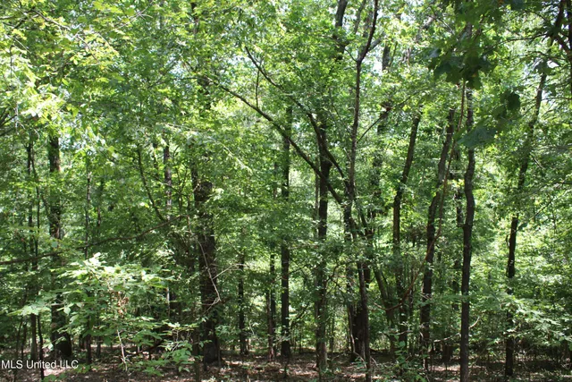 $699,000 | 760 Old Hwy Road, Crenshaw, MS 38621