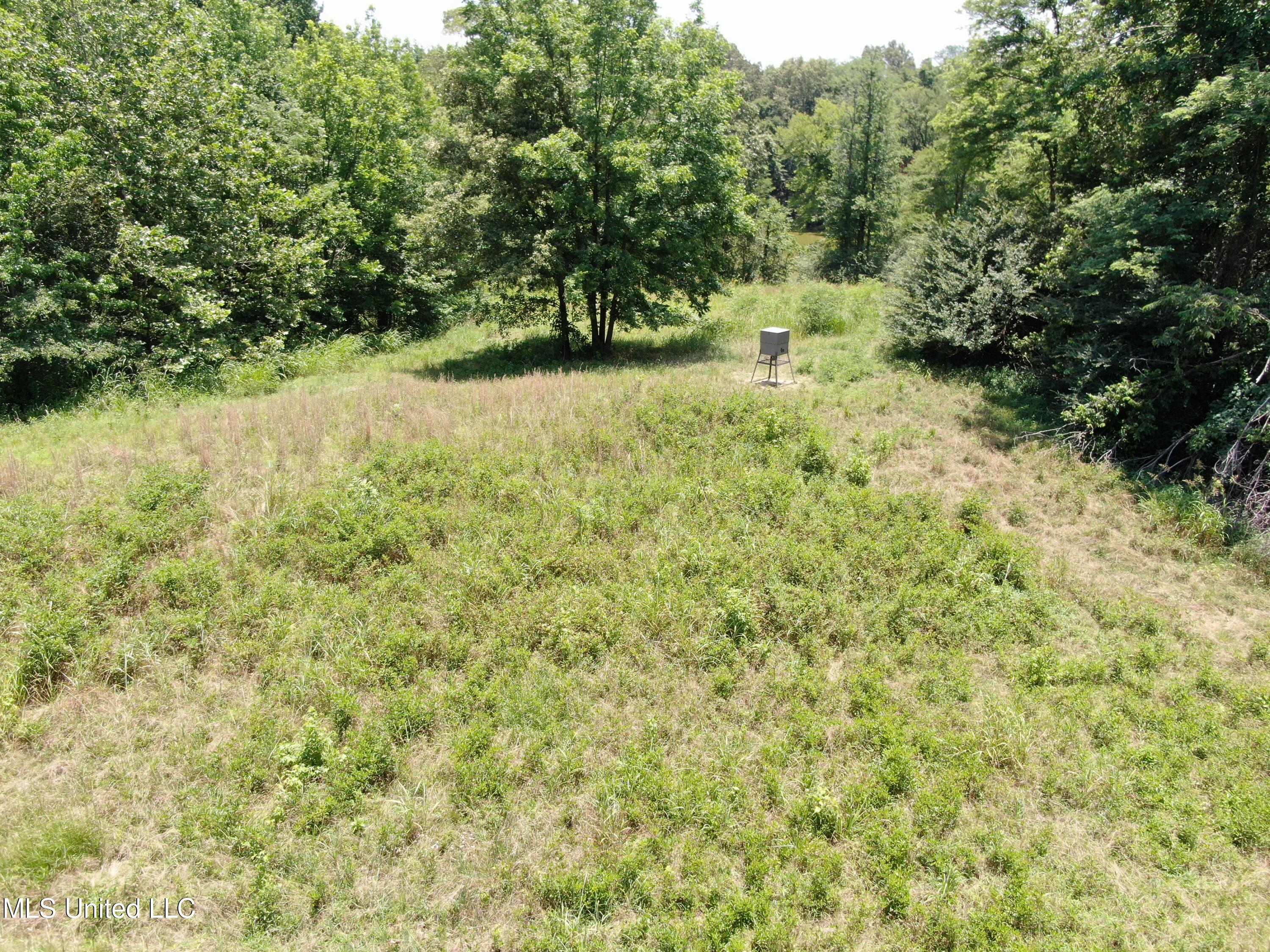 760 Old Hwy Road Crenshaw, MS 38621 - Photo 56 of 57 DJI_0866