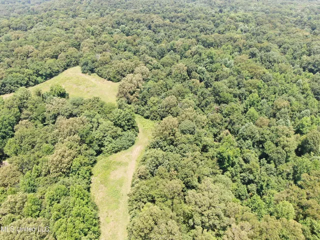 $699,000 | 760 Old Hwy Road, Crenshaw, MS 38621