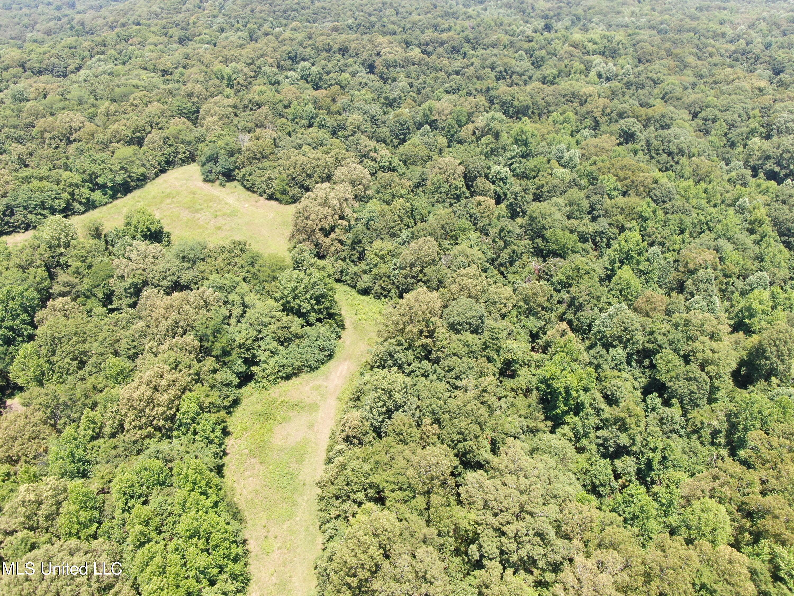 760 Old Hwy Road Crenshaw, MS 38621 - Photo 6 of 57 DJI_0874