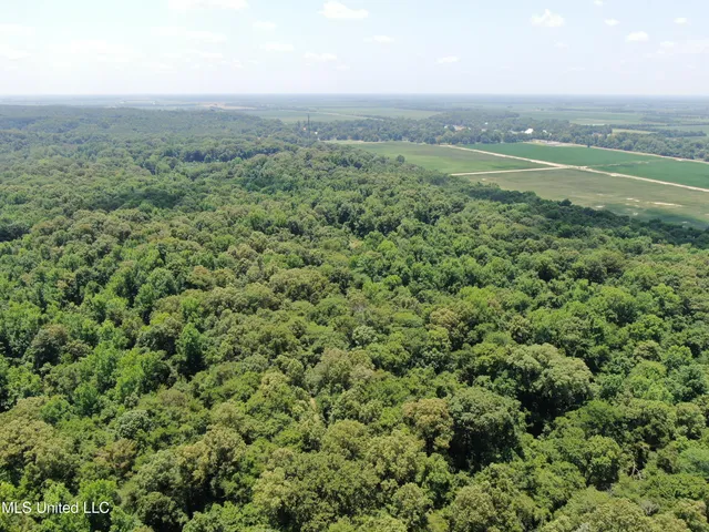 $699,000 | 760 Old Hwy Road, Crenshaw, MS 38621