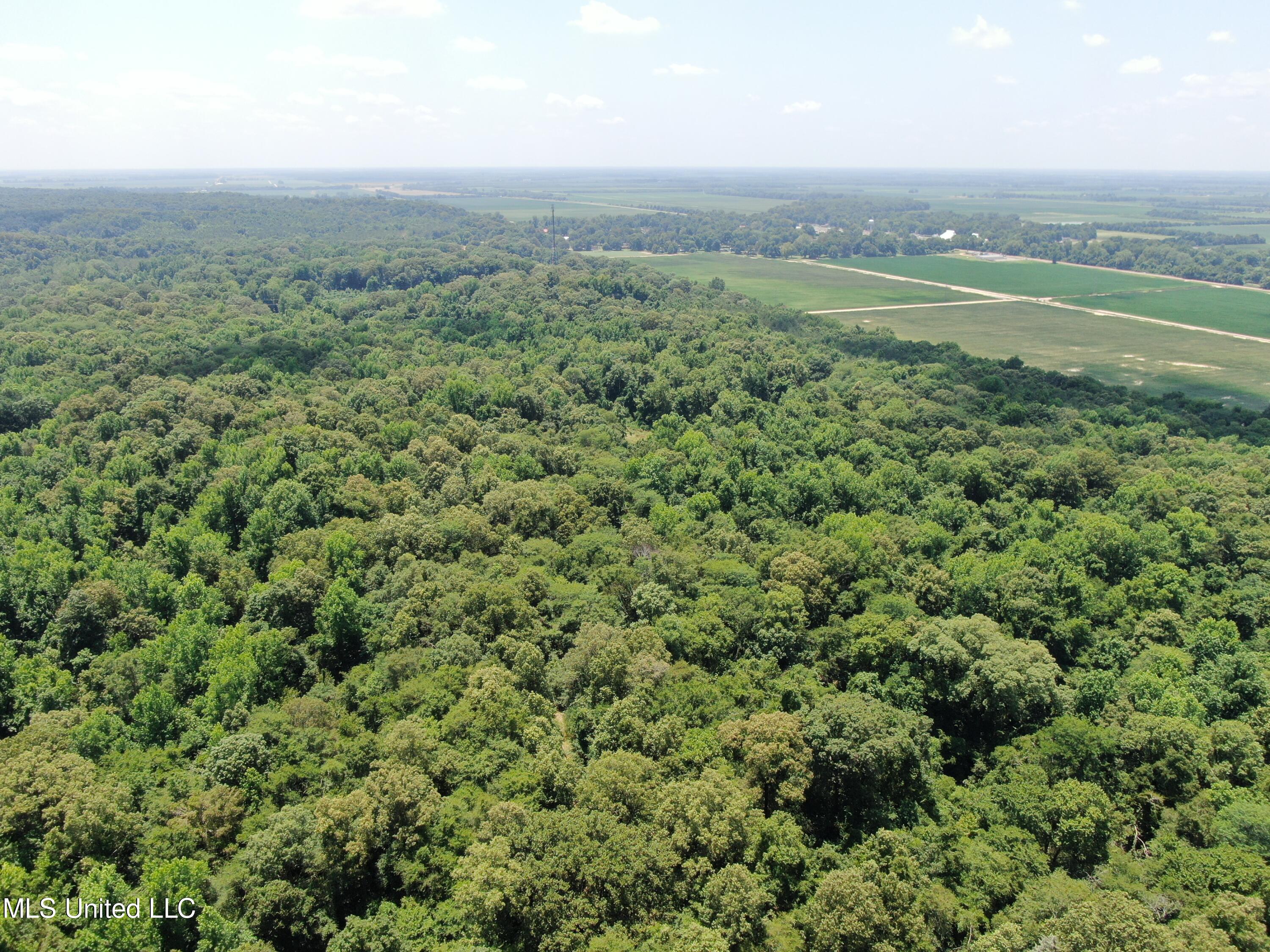 760 Old Hwy Road Crenshaw, MS 38621 - Photo 7 of 57 DJI_0873