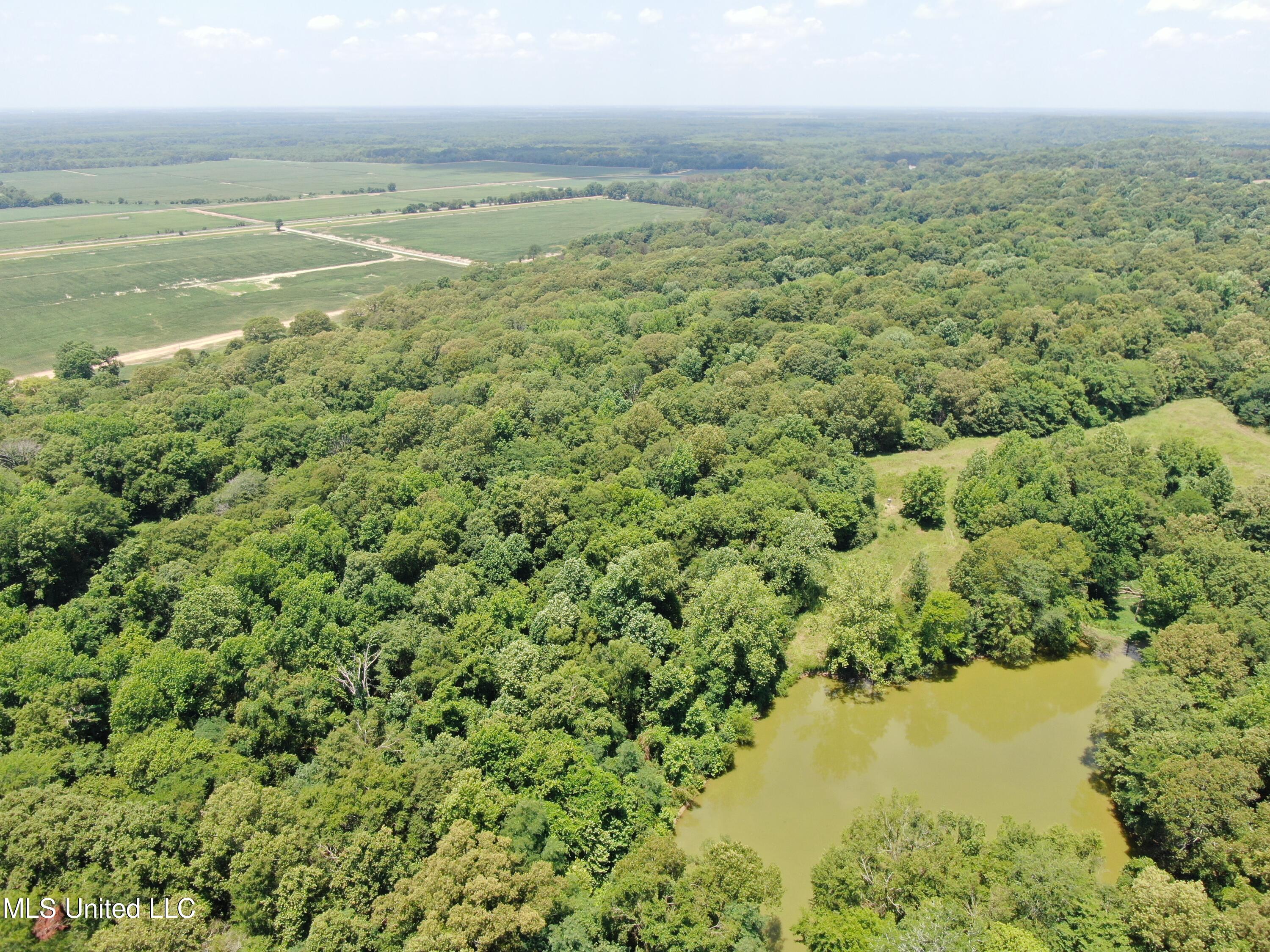 760 Old Hwy Road Crenshaw, MS 38621 - Photo 8 of 57 DJI_0872