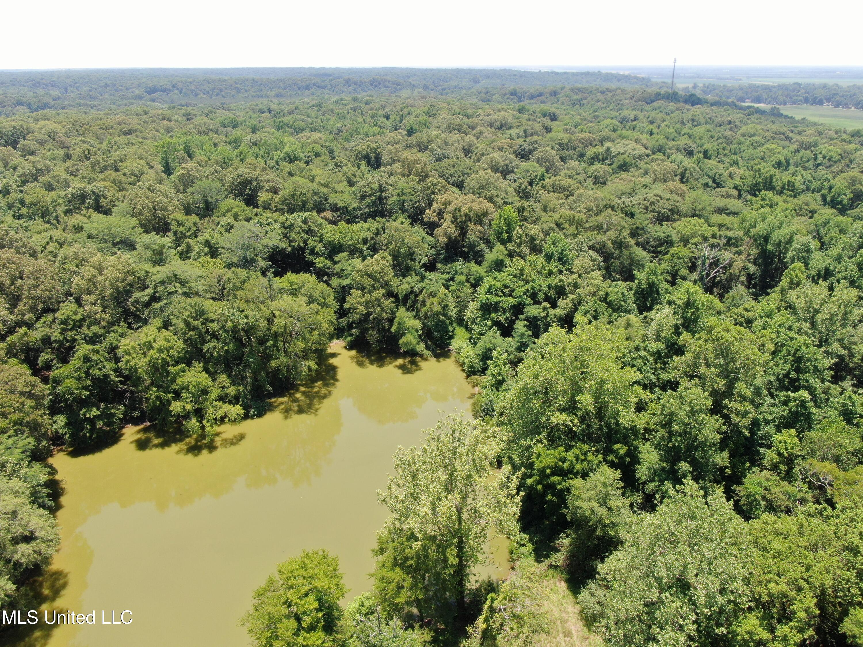 760 Old Hwy Road Crenshaw, MS 38621 - Photo 9 of 57 DJI_0868