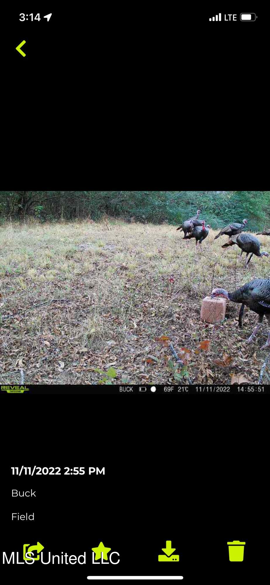 760 Old Hwy Road Crenshaw, MS 38621 - Photo 10 of 57 IMG_4210