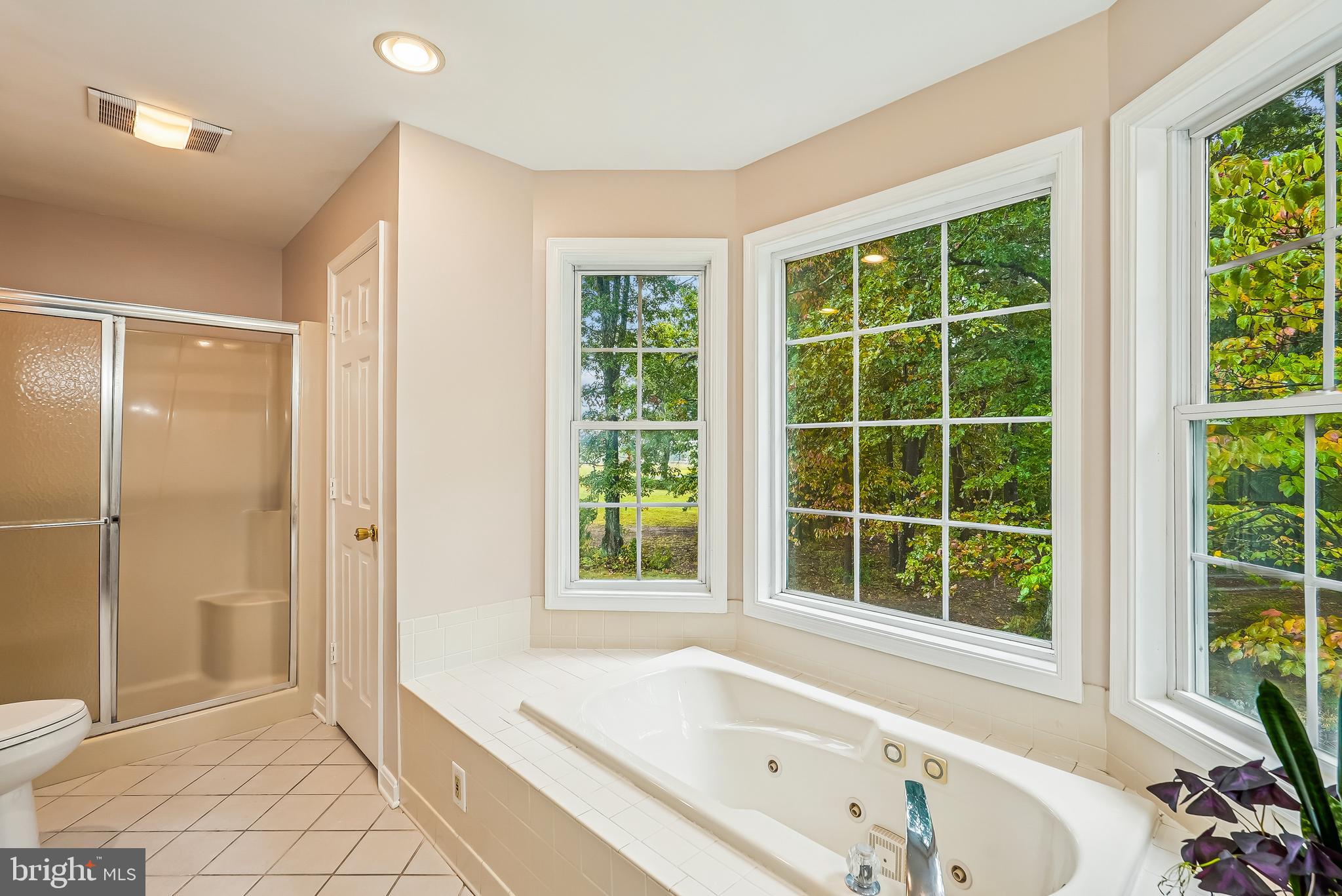 18 Hall Road Front Royal, VA 22630 - Photo 41 of 44 Separate tub and shower