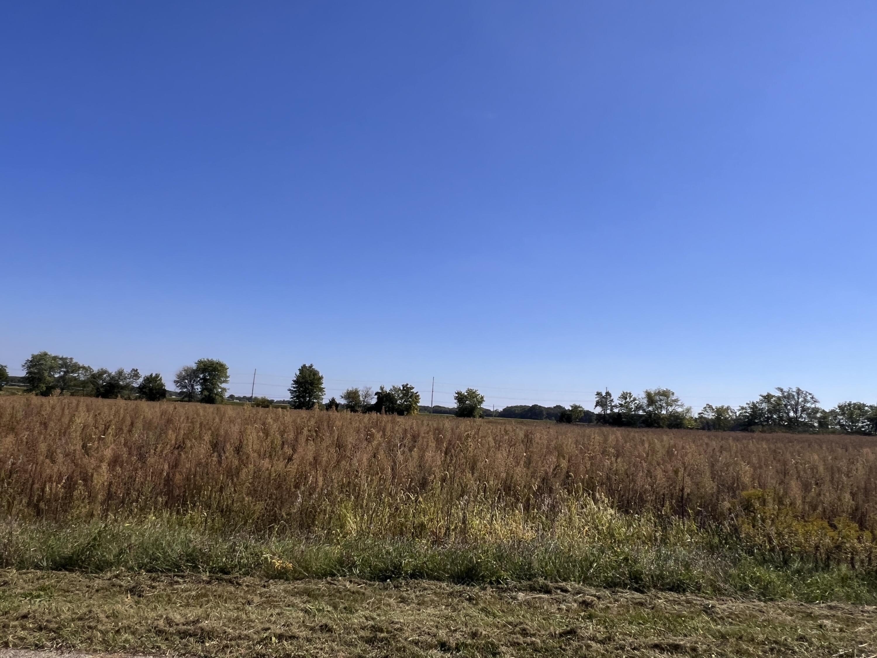Lot 17 South Morgan Road La Porte, IN 46350 - Photo 2 of 4 a view of a lake