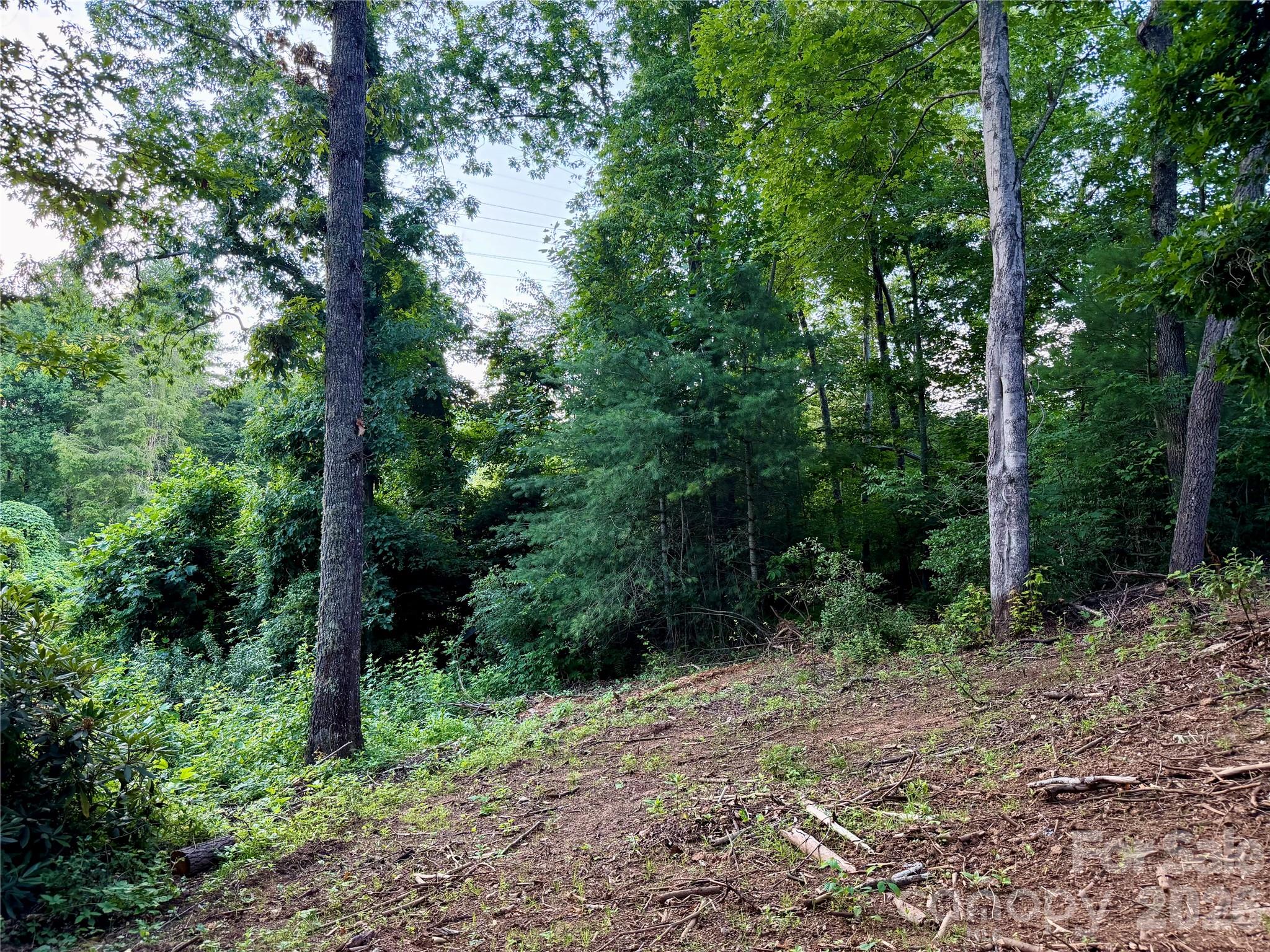 251 Cox Road Pisgah Forest, NC 28768 - Photo 6 of 15