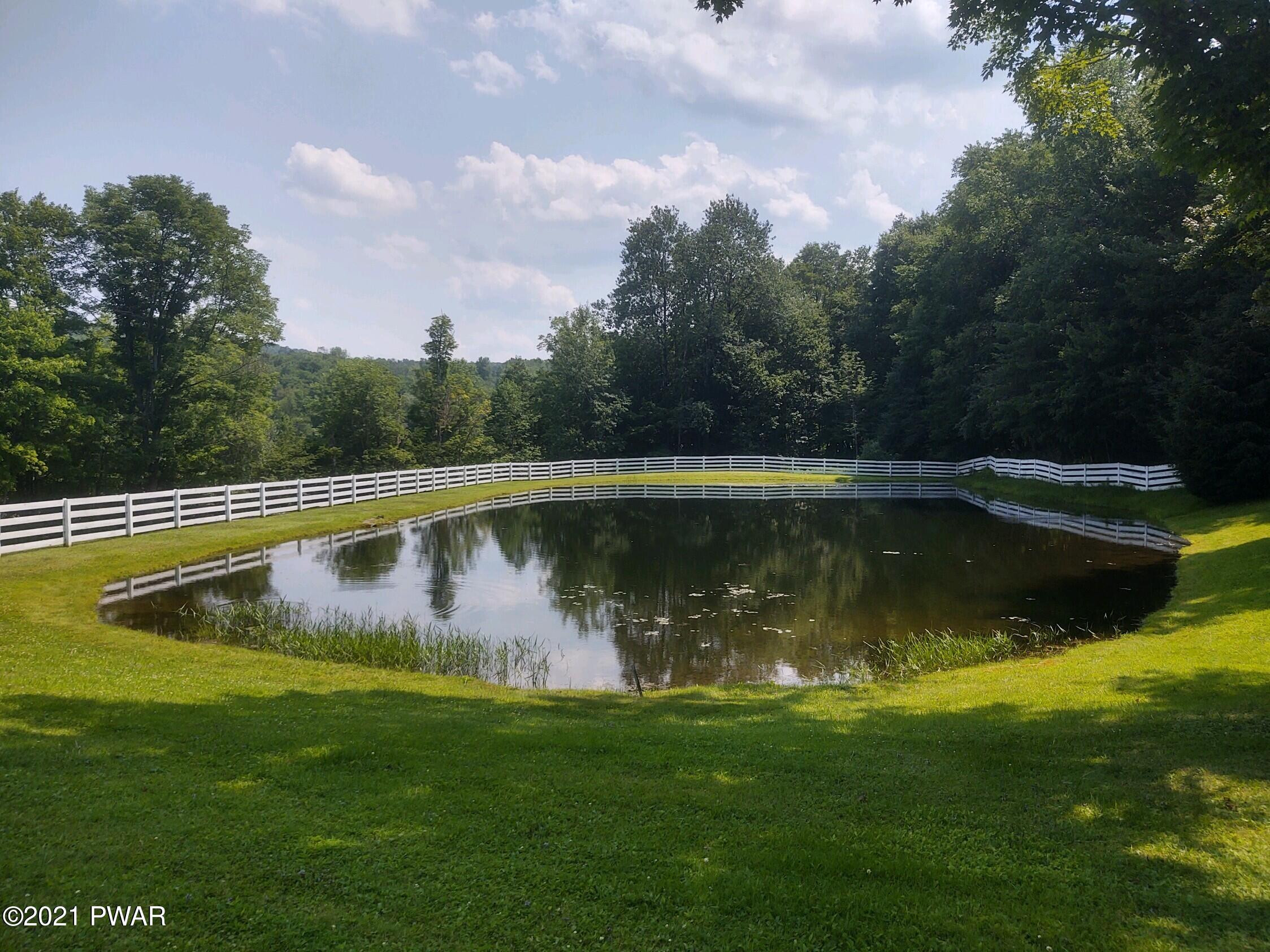 39 Starlight Lake Road Starlight, PA 18461 - Photo 12 of 36 pond II