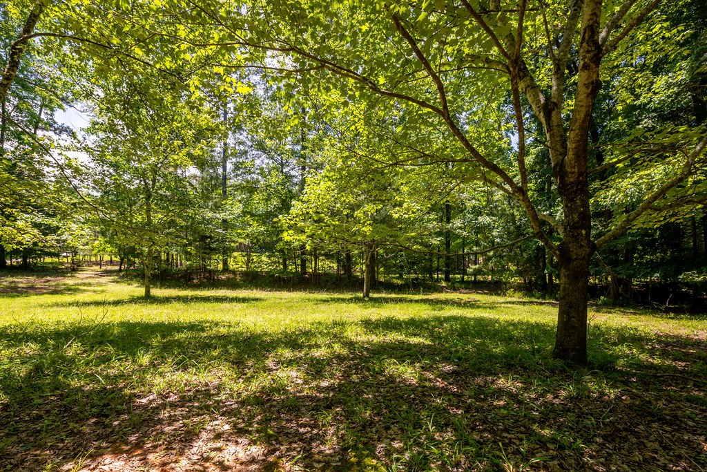 273 Timber Loop Midland, GA 31820 - Photo 24 of 49 Gallery Image 24