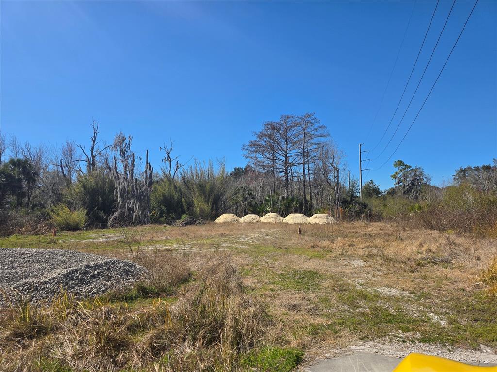 470 State Rte 415 Osteen, FL 32764 - Photo 4 of 8 a view of a yard with trees in the background