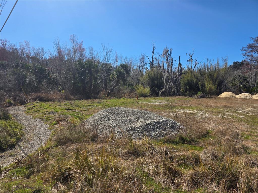 470 State Rte 415 Osteen, FL 32764 - Photo 7 of 8 a view of a field with trees in the background