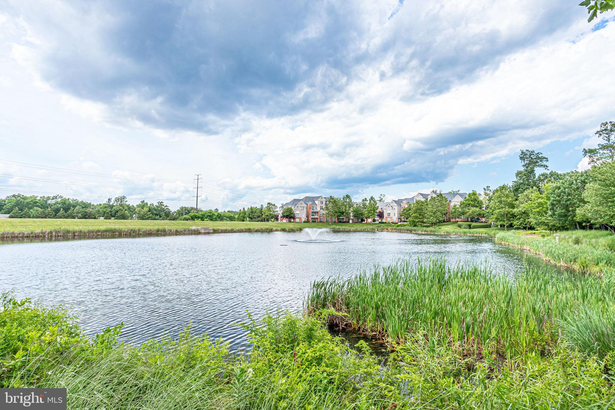 12160 Tryton Way Reston, VA 20190 - Photo 45 of 53