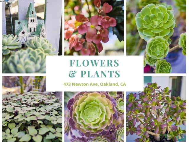 $898,000 | 473 Newton Avenue, Oakland, CA 94606