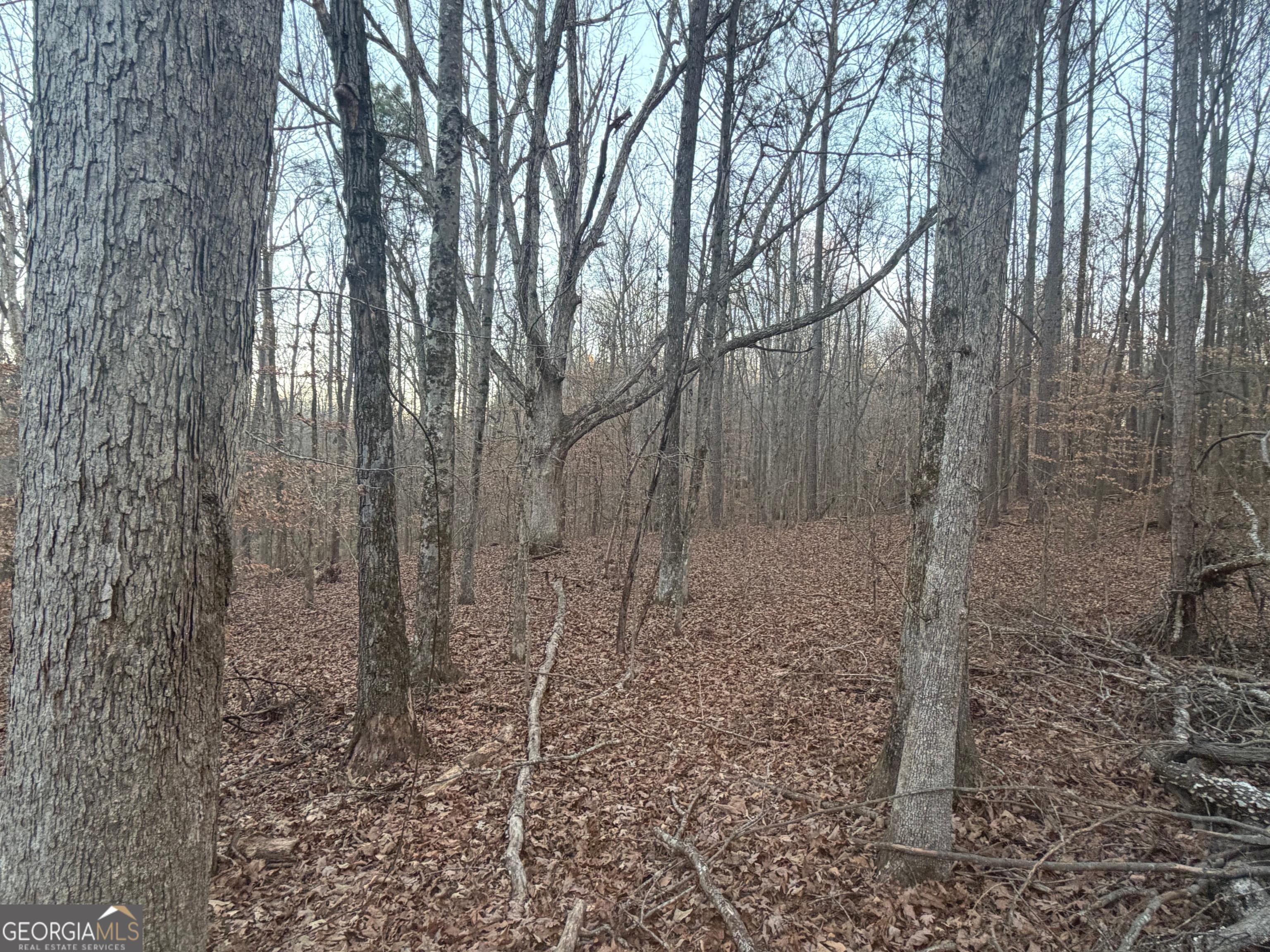 692 Hillcrest Road Bowdon, GA 30108 - Photo 11 of 23