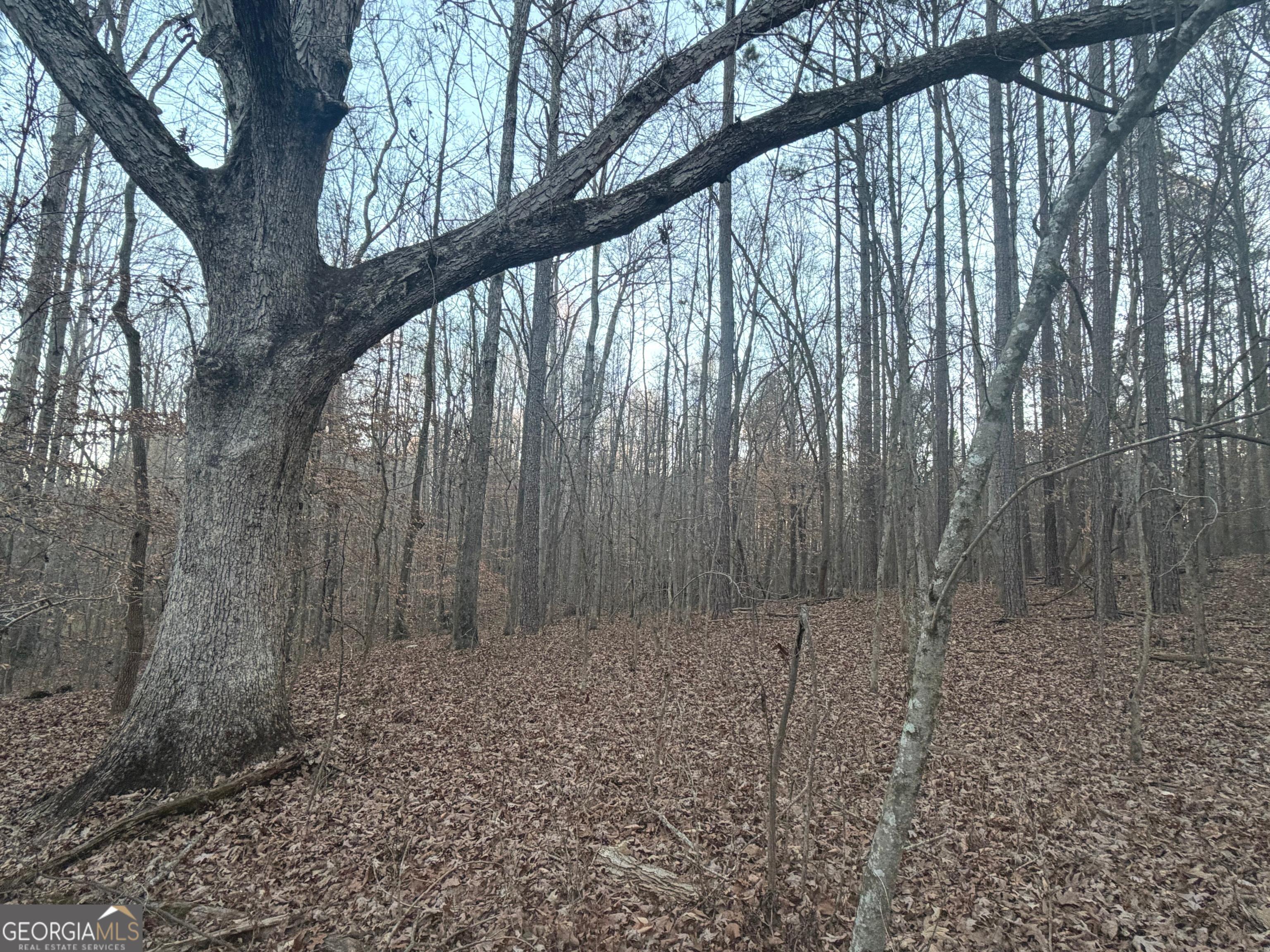 692 Hillcrest Road Bowdon, GA 30108 - Photo 12 of 23