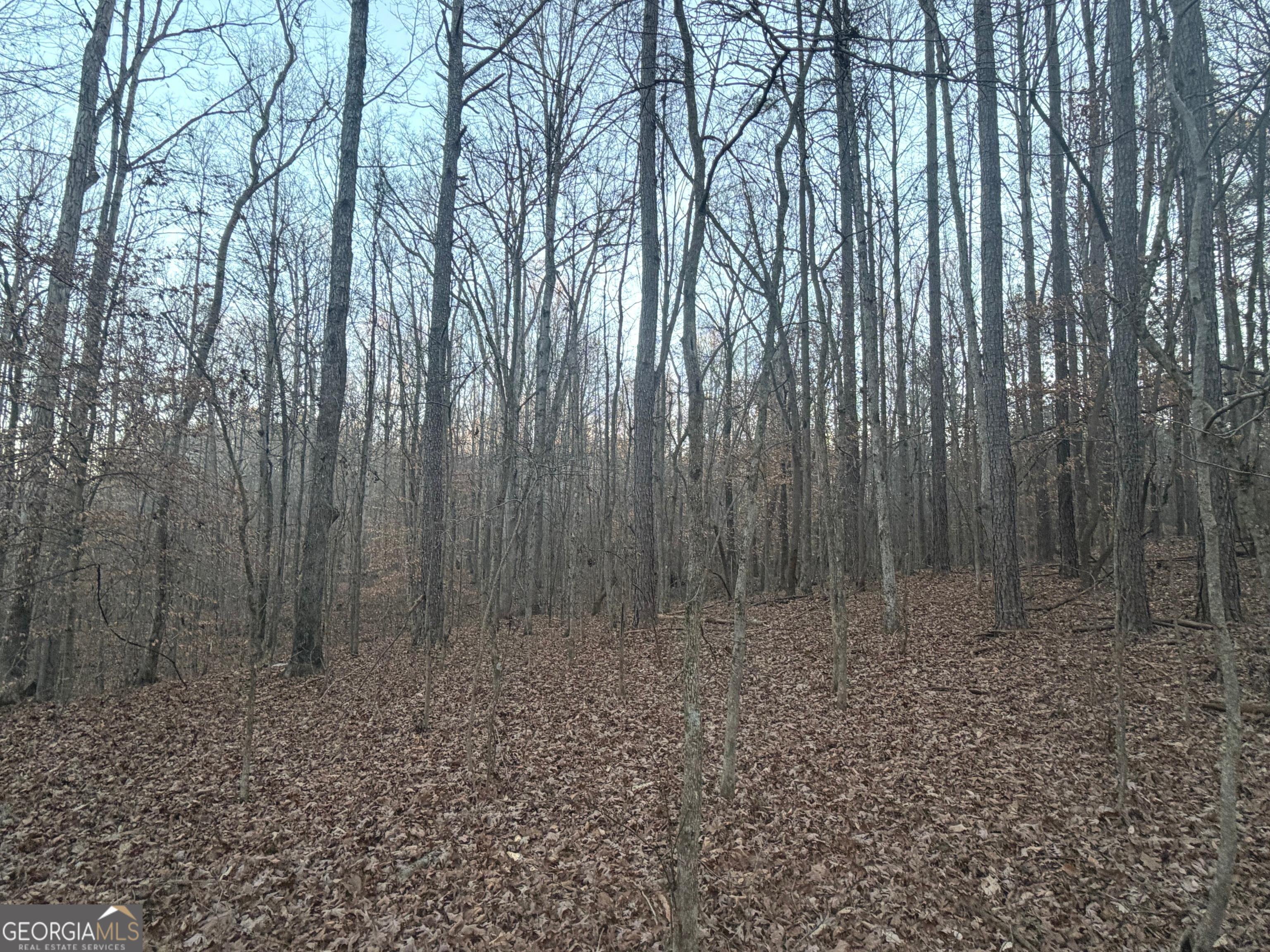 692 Hillcrest Road Bowdon, GA 30108 - Photo 13 of 23