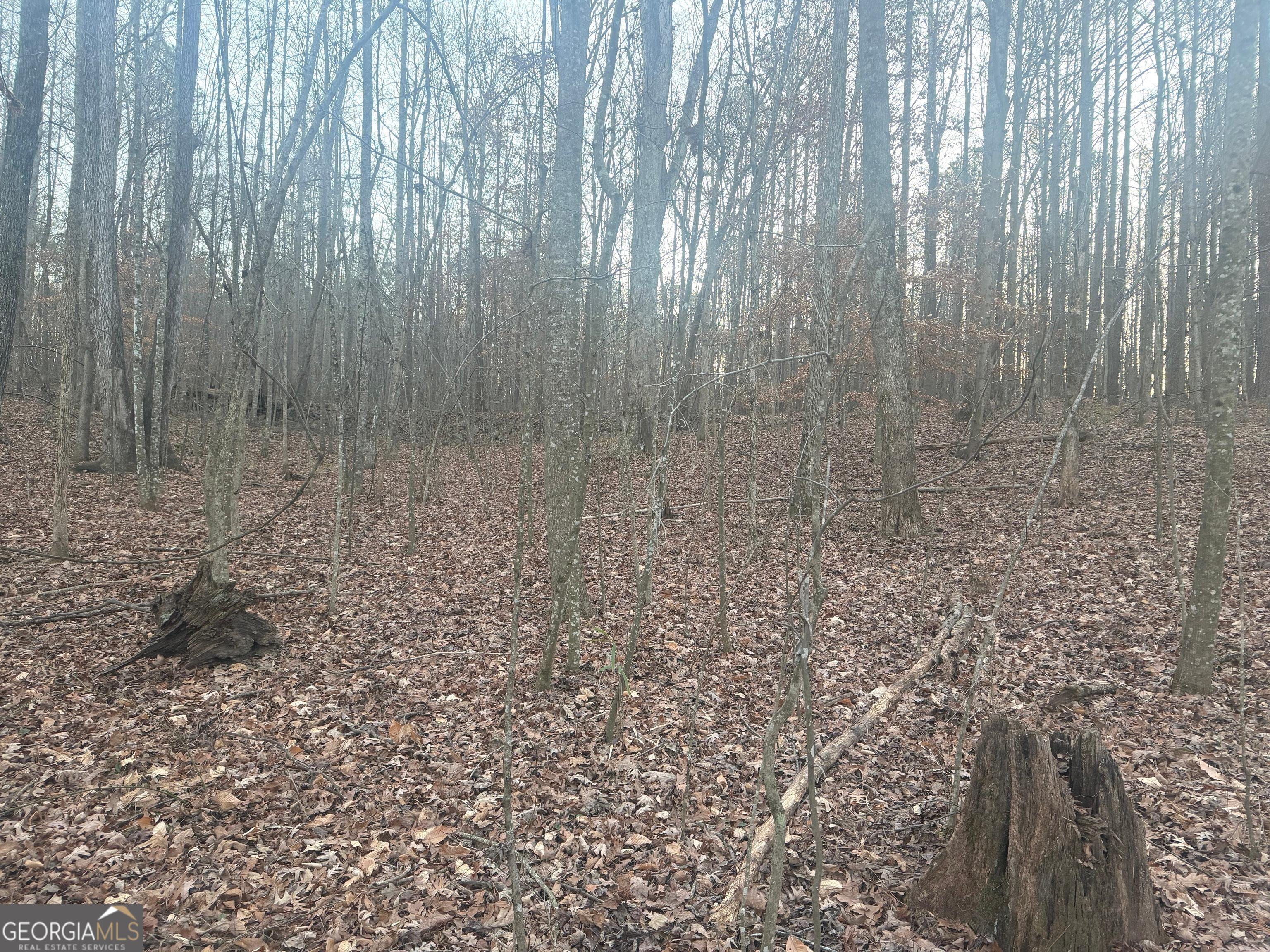 692 Hillcrest Road Bowdon, GA 30108 - Photo 14 of 23