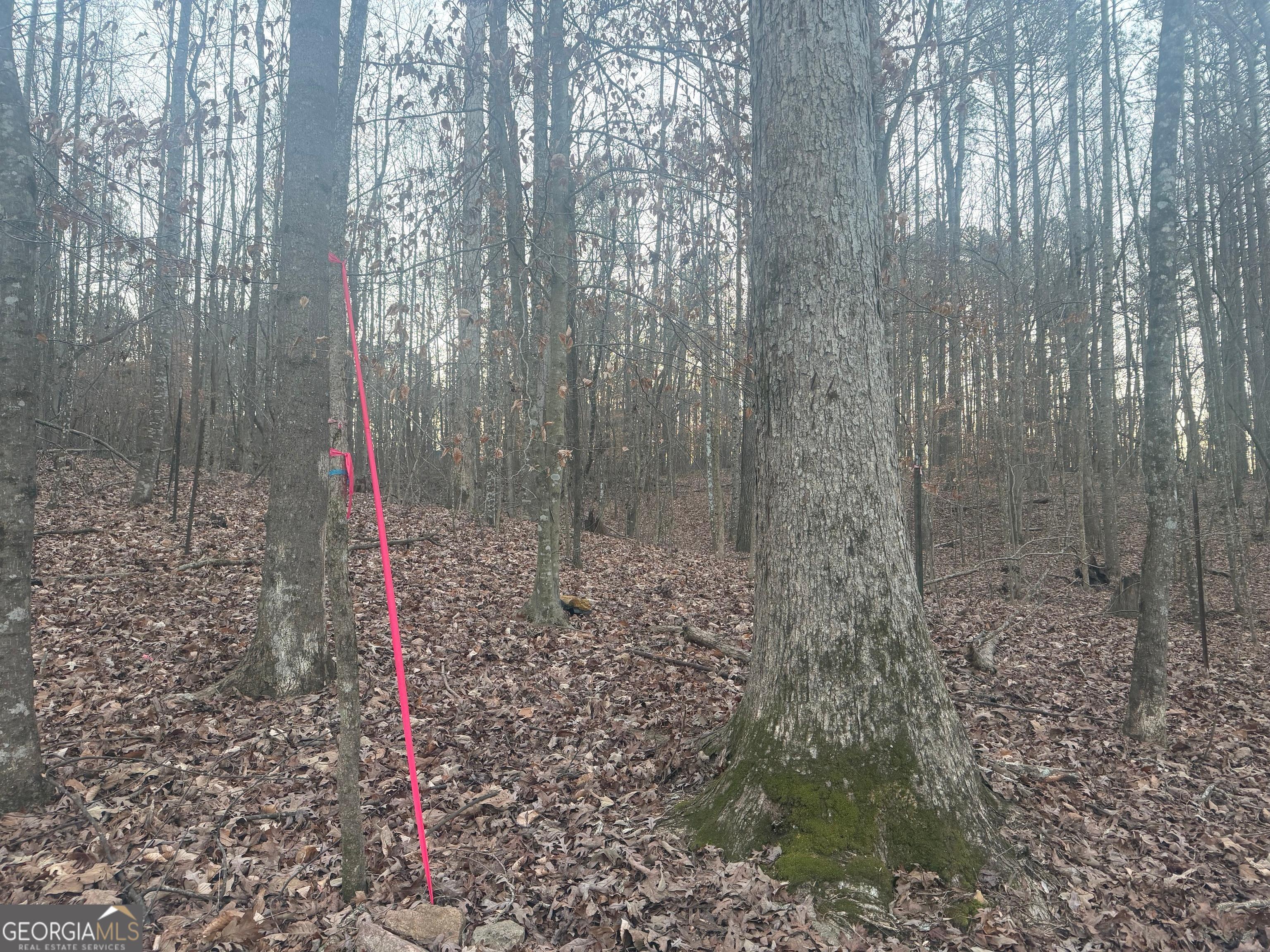 692 Hillcrest Road Bowdon, GA 30108 - Photo 15 of 23