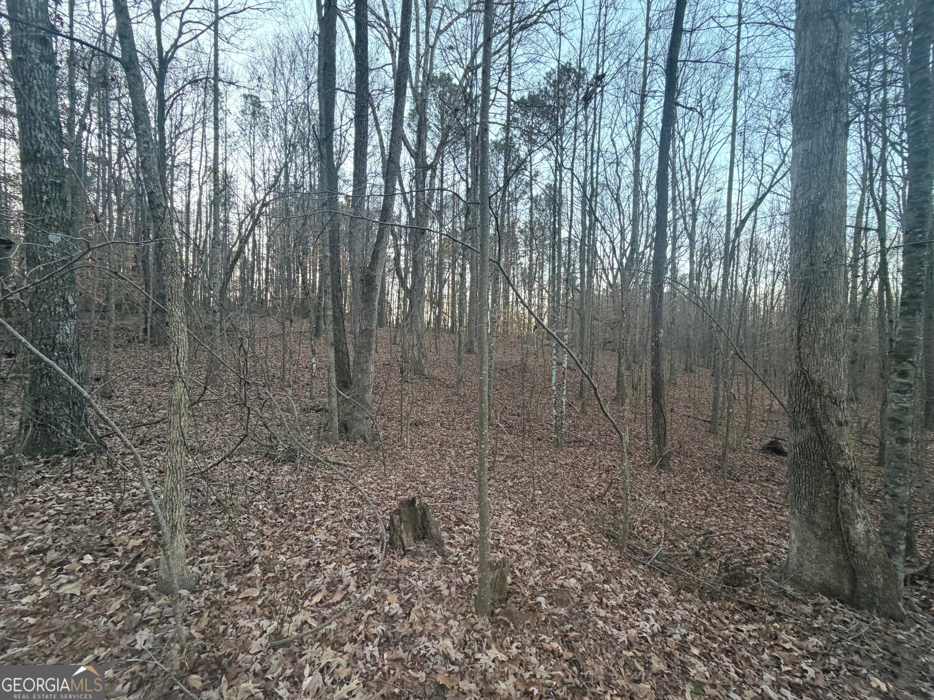 692 Hillcrest Road Bowdon, GA 30108 - Photo 16 of 23