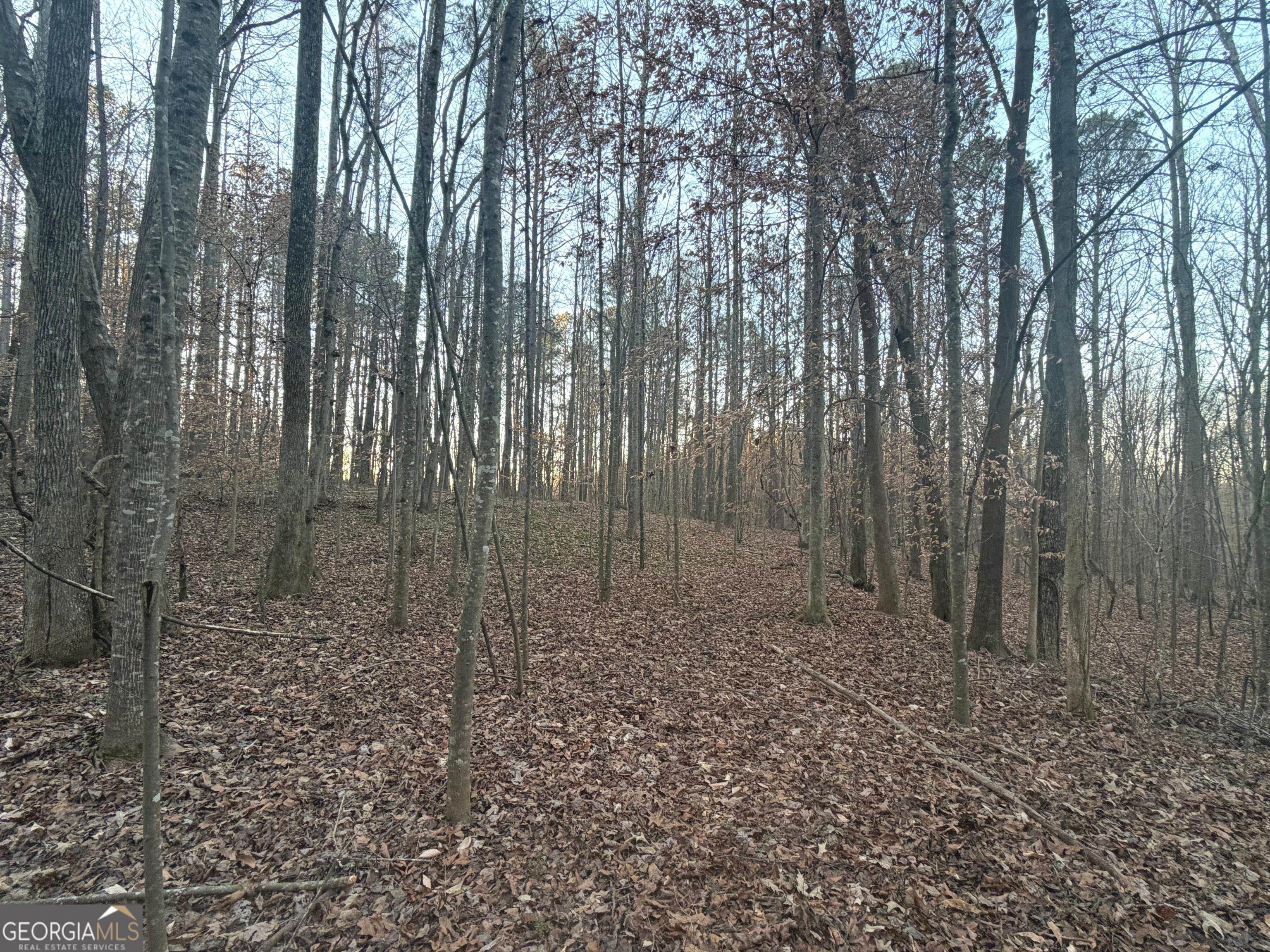 692 Hillcrest Road Bowdon, GA 30108 - Photo 17 of 23