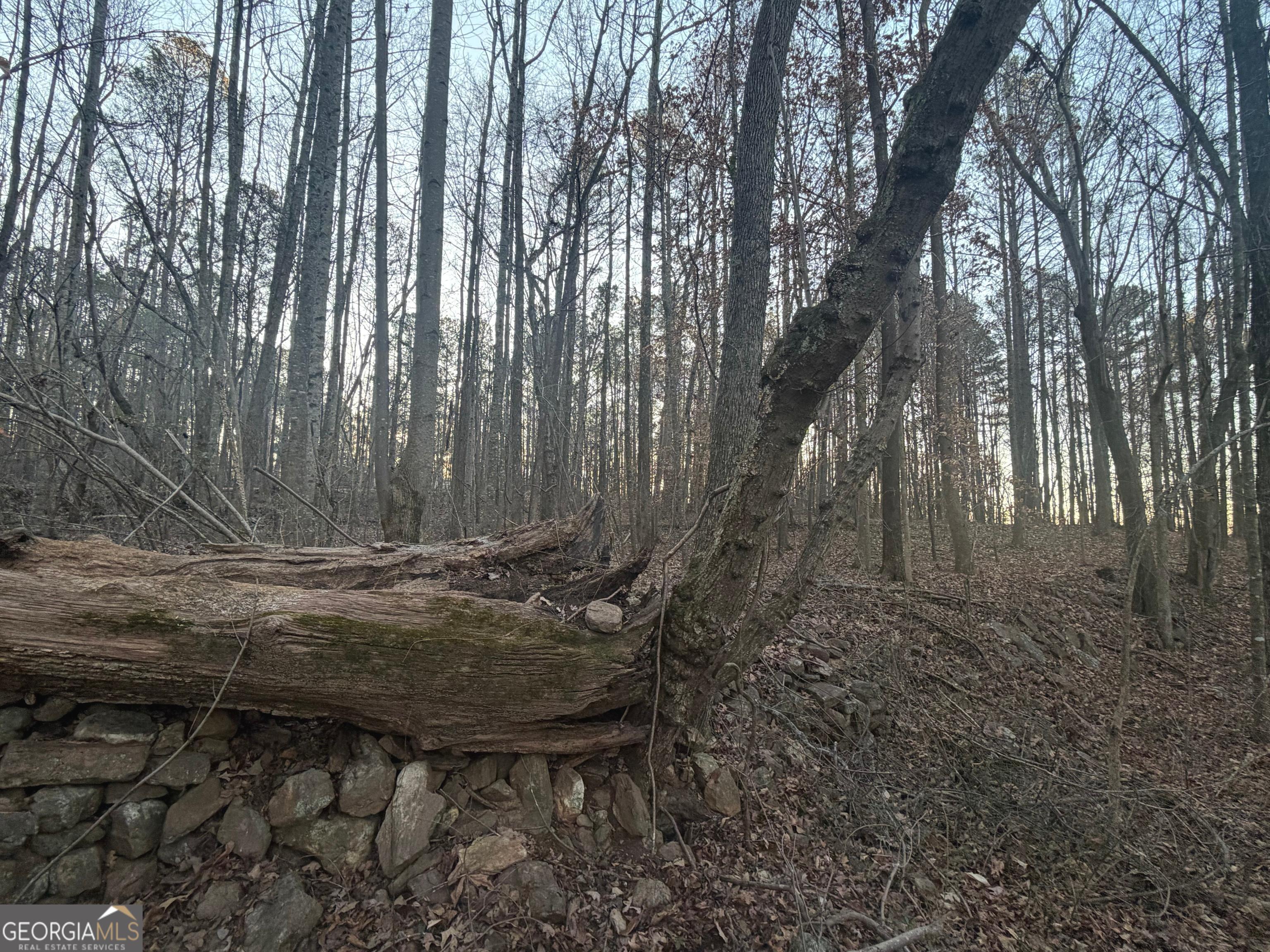 692 Hillcrest Road Bowdon, GA 30108 - Photo 18 of 23