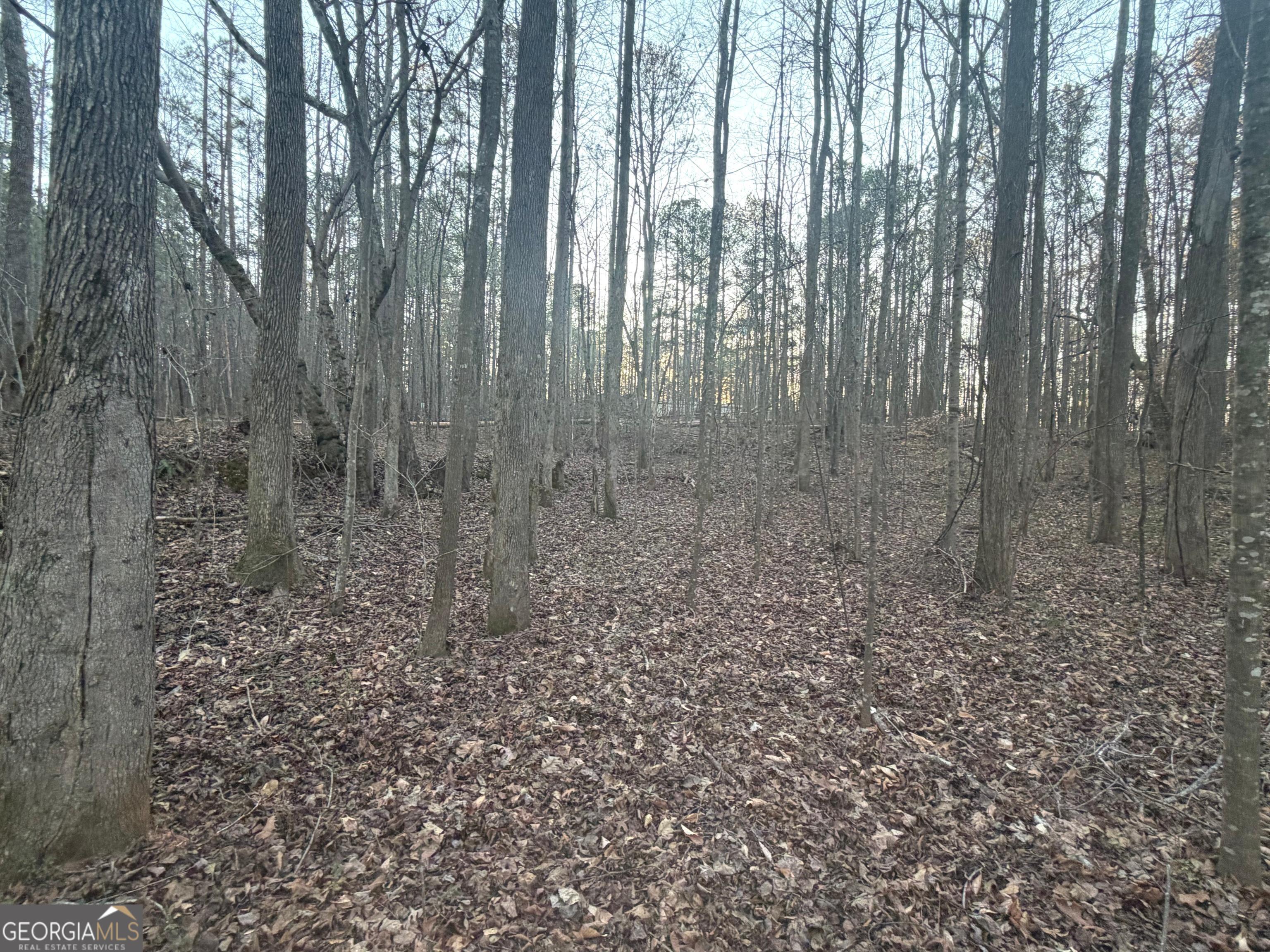 692 Hillcrest Road Bowdon, GA 30108 - Photo 19 of 23