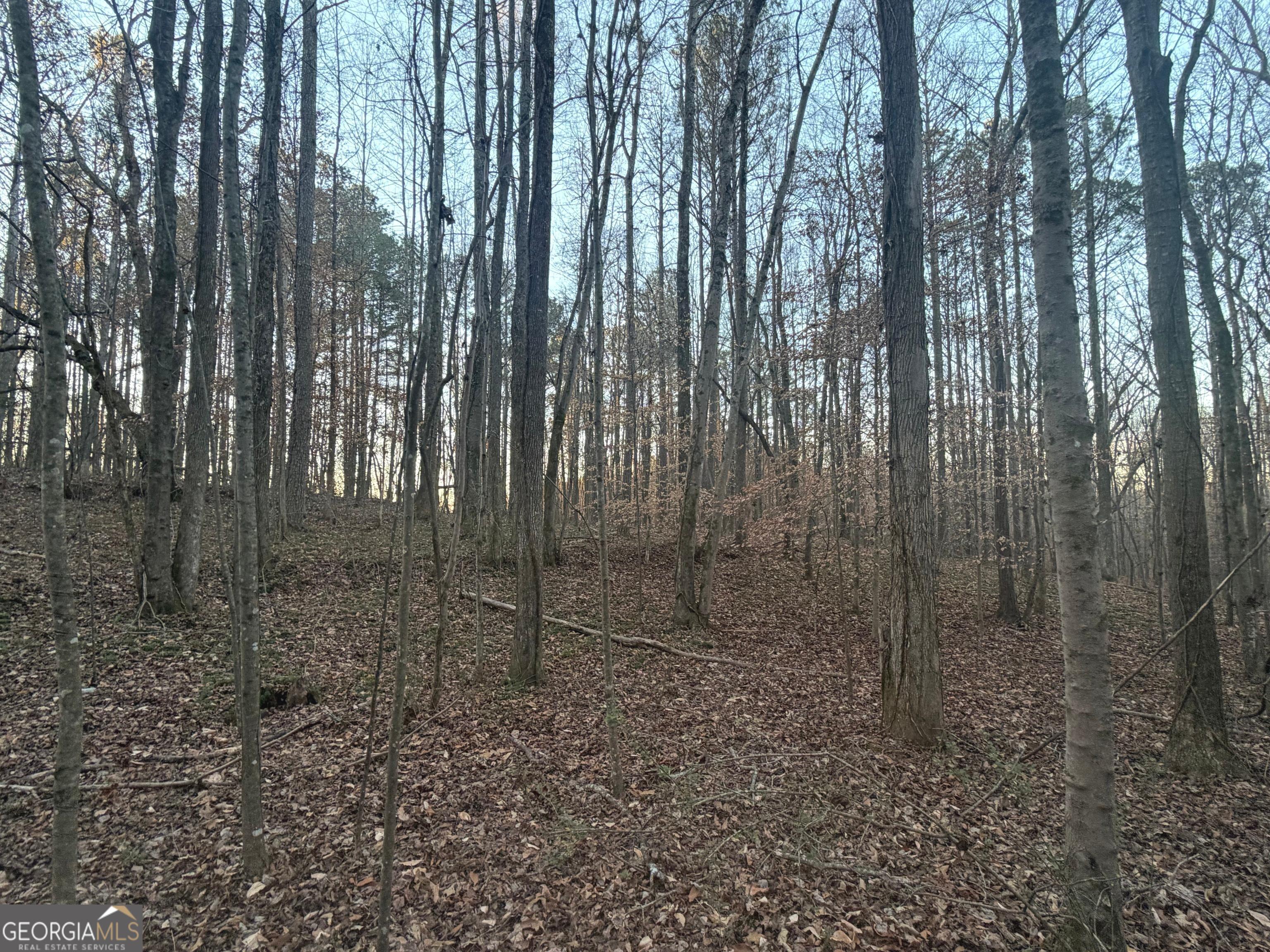 692 Hillcrest Road Bowdon, GA 30108 - Photo 20 of 23